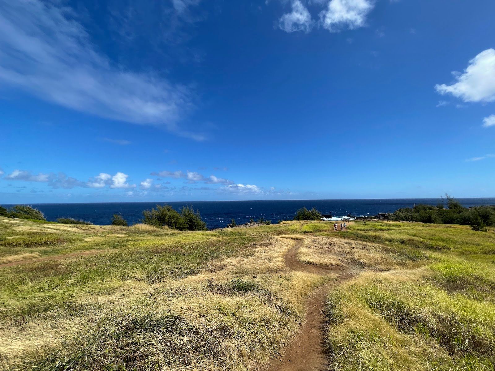 Photo 5 of Acid War Zone Trail in Kapalua, Maui