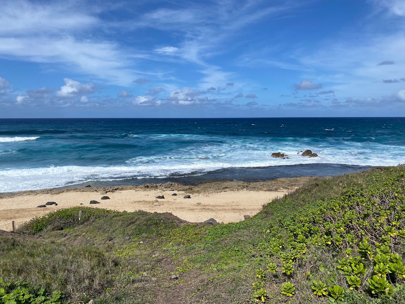 Photo 8 of Hawaii Polo Oceanfront Trail Rides in Waialua & Mokulēʻia, Oahu