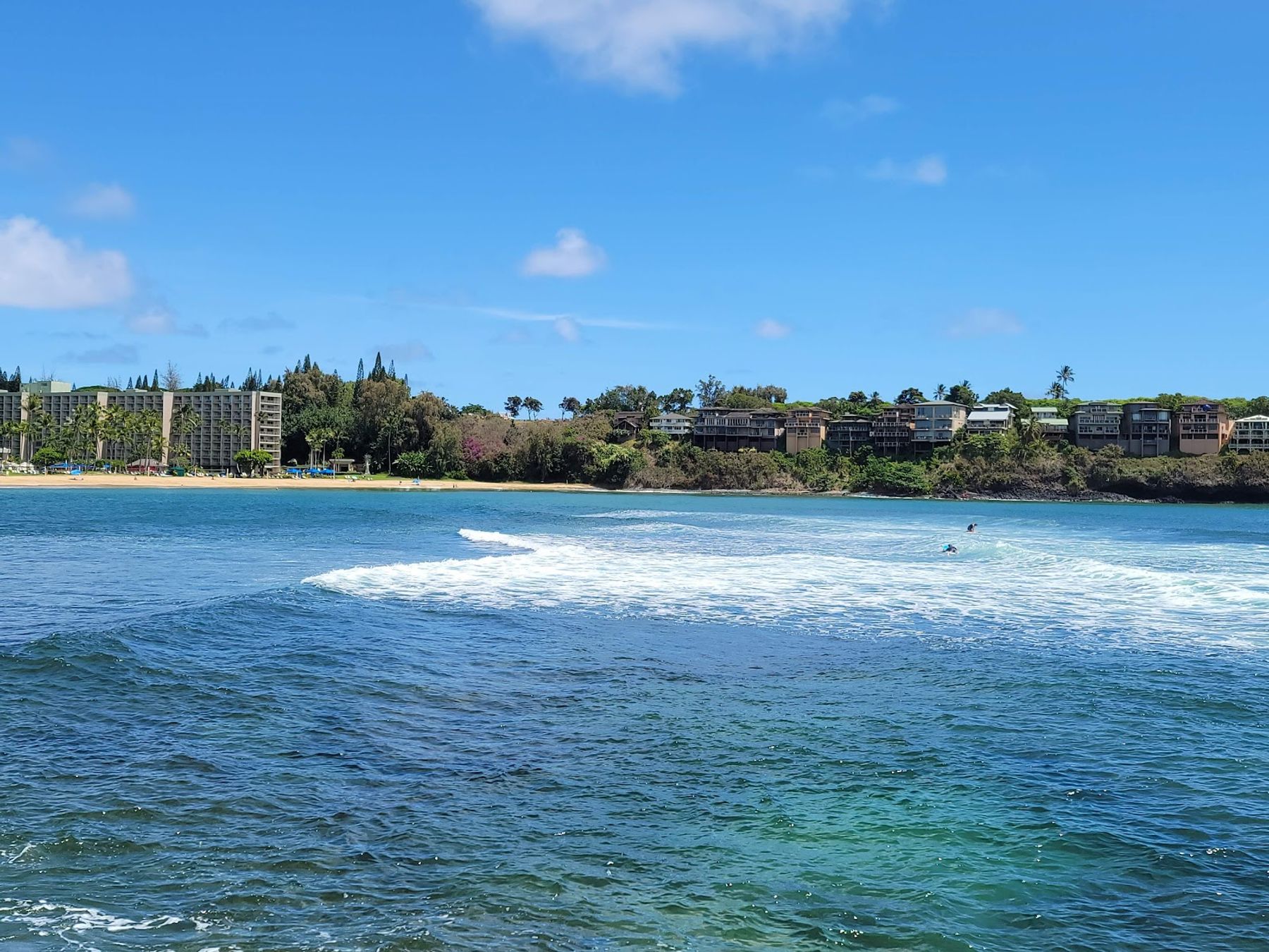 Nāwiliwili Park in Lihue, Kaua‘i photo 3