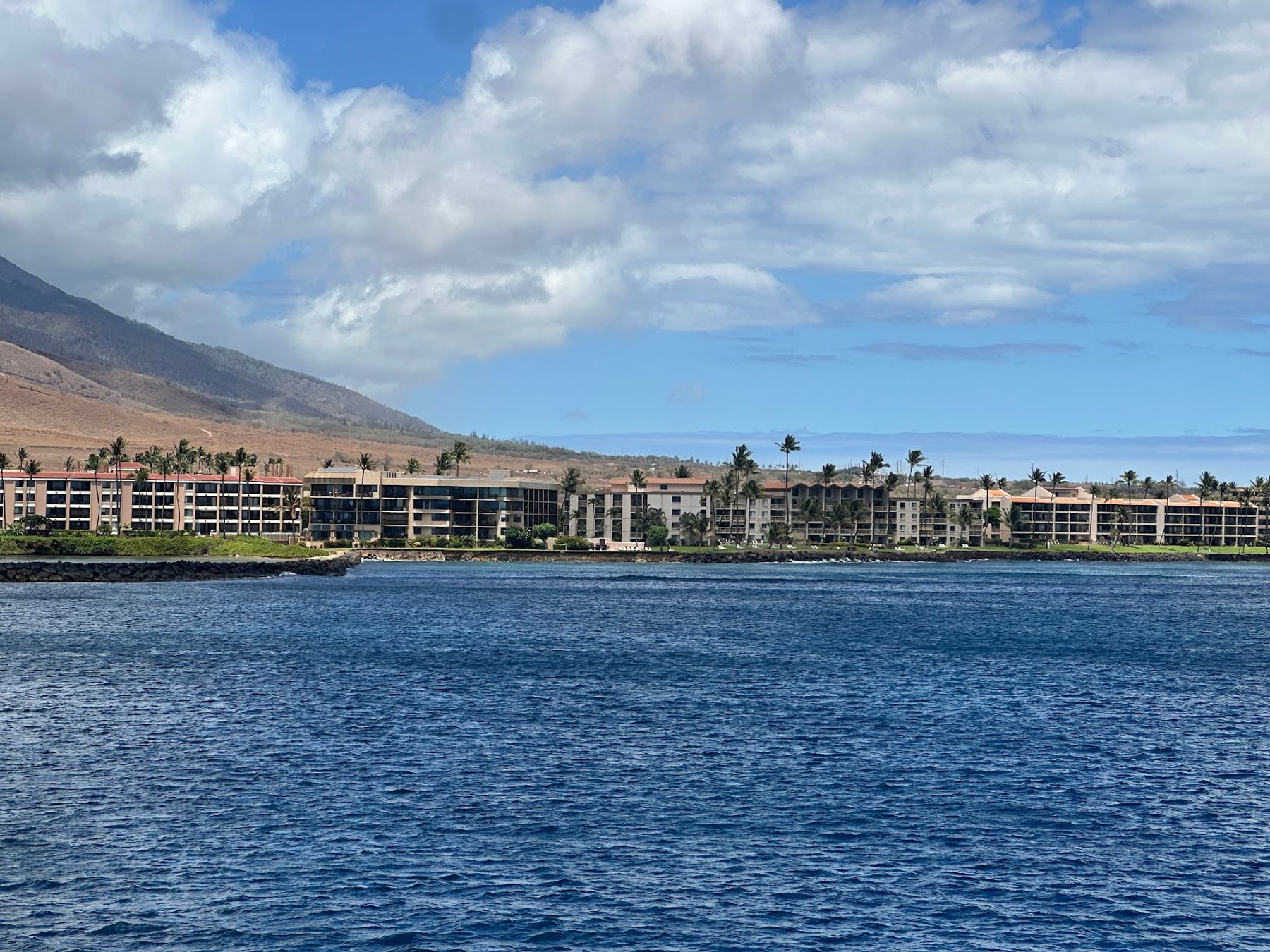 Photo 8 of Calypso in Māʻalaea, Maui