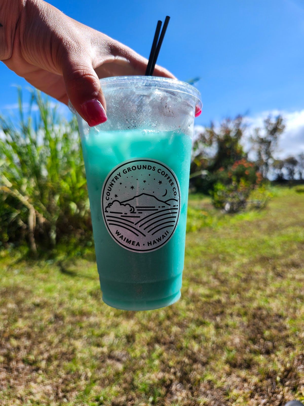 Photo 9 of Country Grounds Coffee Company in Waimea, Big Island