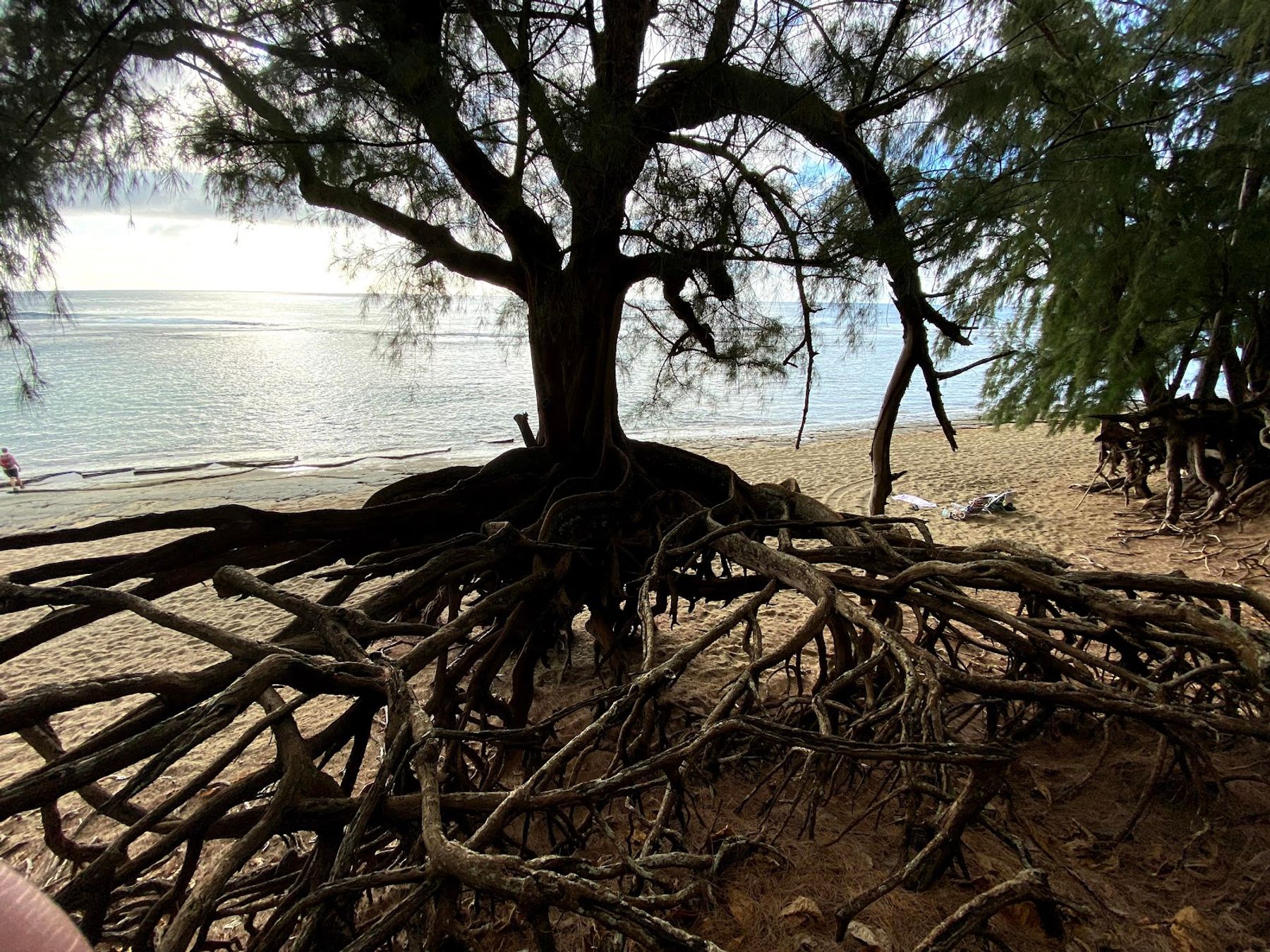 Ke'e Beach in Haena, Kaua‘i photo 6