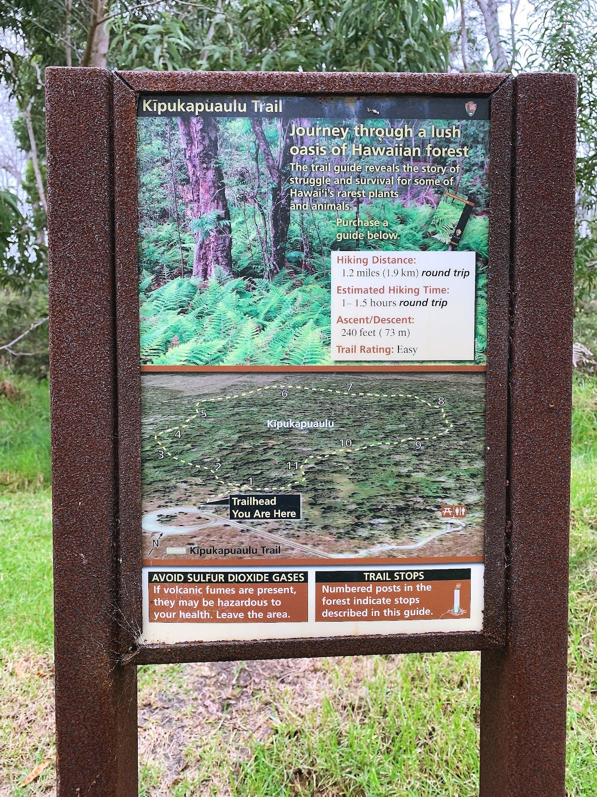 Photo 8 of Kipuka Puaulu Trail in Volcano, Big Island