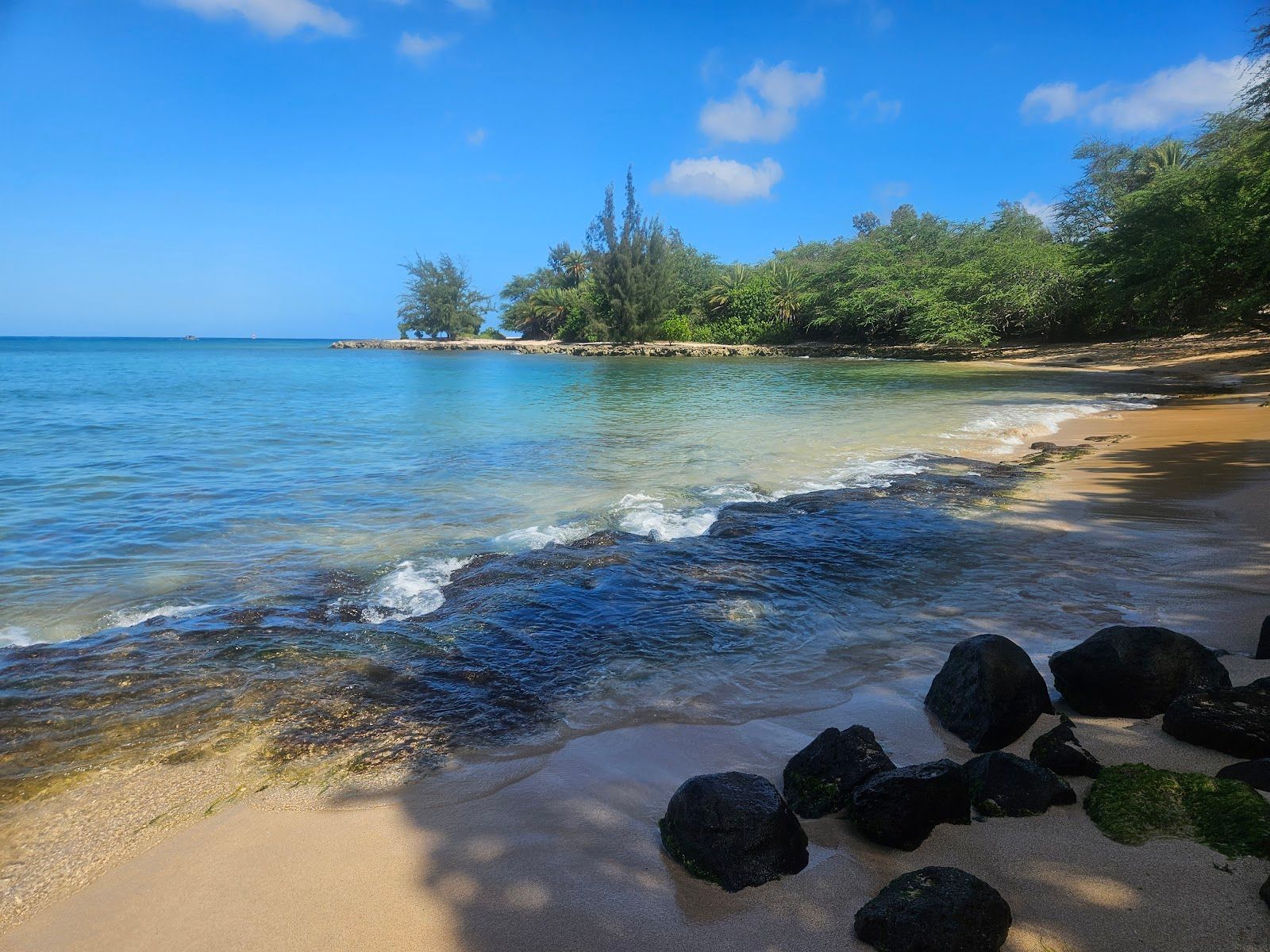 Photo 1 of Puaʻena Point Beach Park in Haleʻiwa, Oahu
