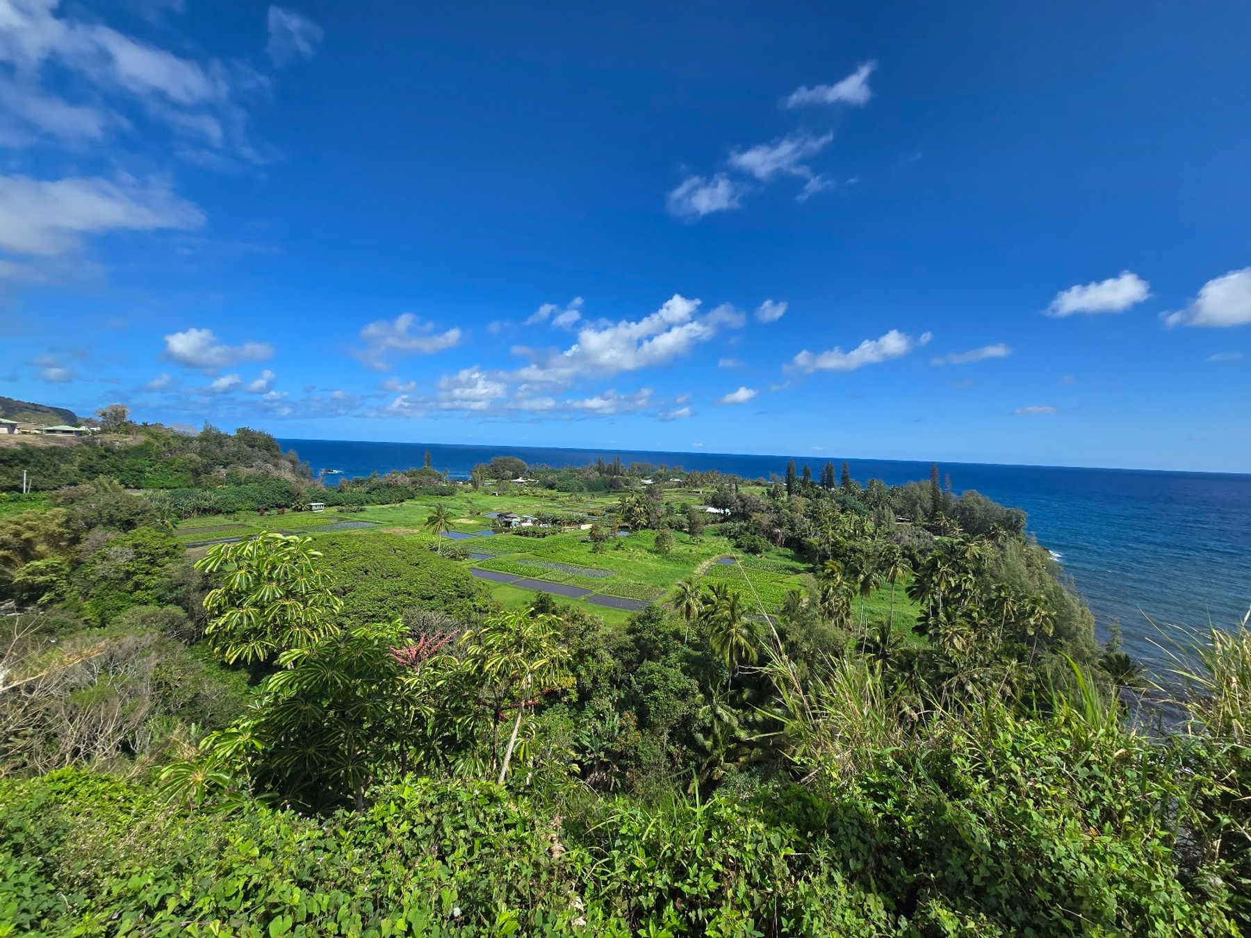 Photo 5 of Wailua Valley State Wayside in Keʻanae-Nāhiku, Maui