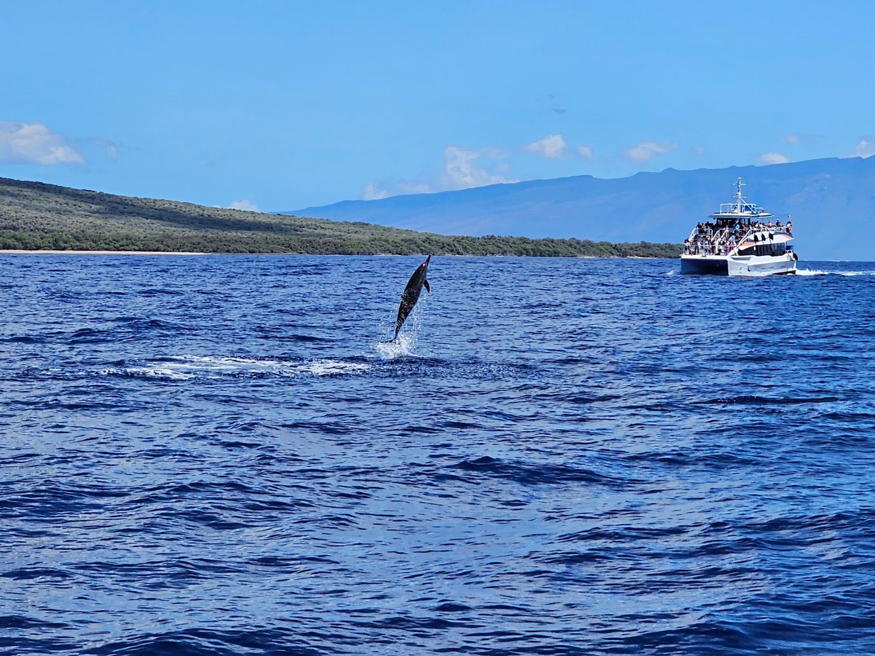 Photo 5 of Maui Adventure Cruises in Lāhainā, Maui