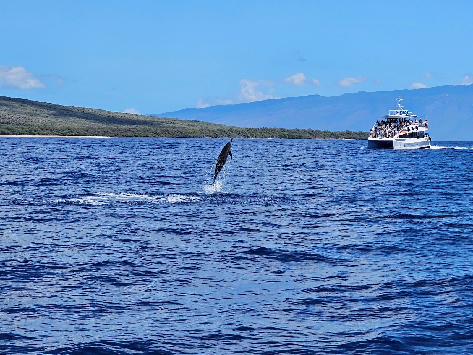 Photo 5 of Maui Adventure Cruises in Lāhainā, Maui