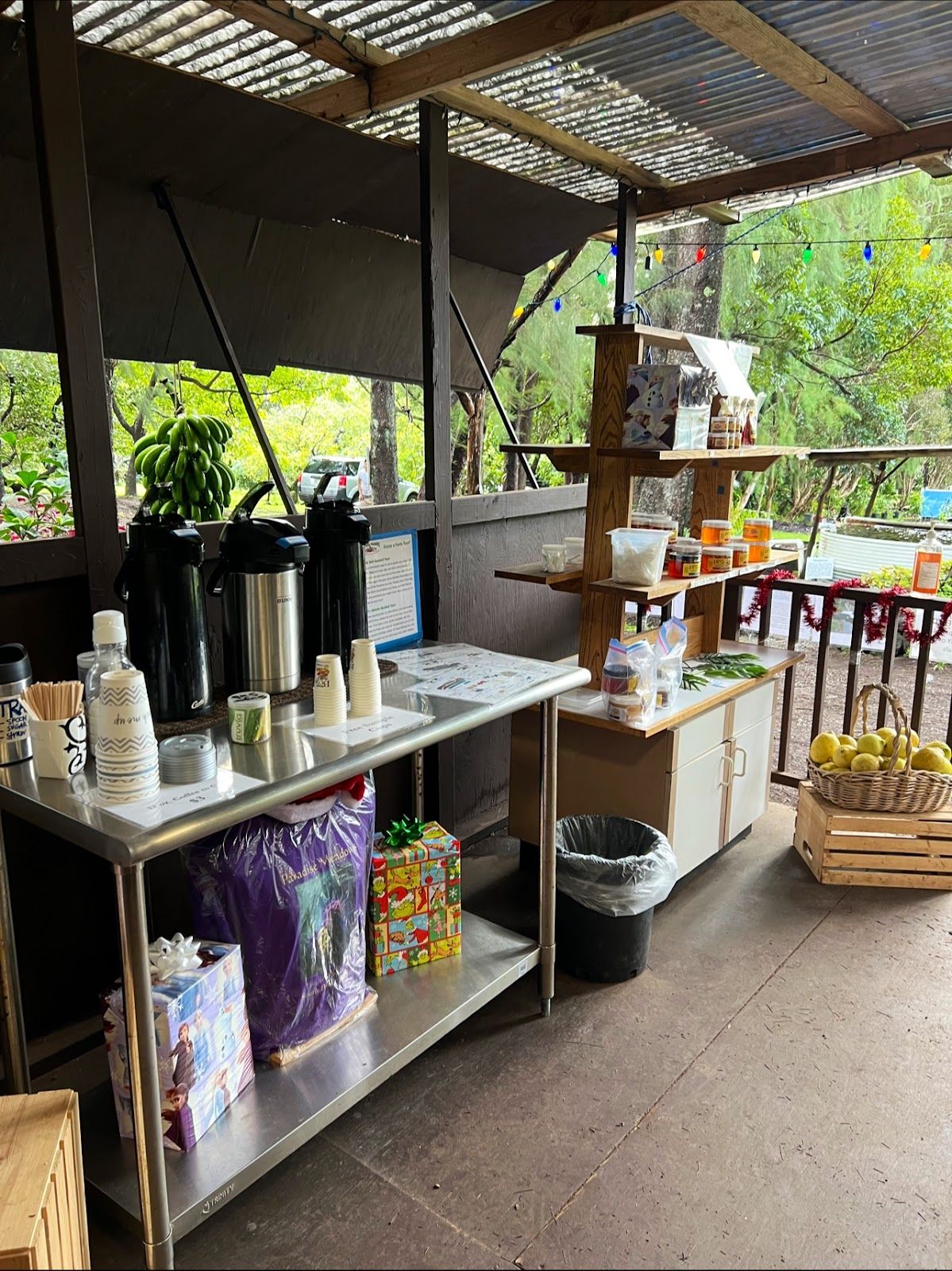 Photo 3 of Hawaii's Local Buzz at Paradise Meadows in South Point, Big Island
