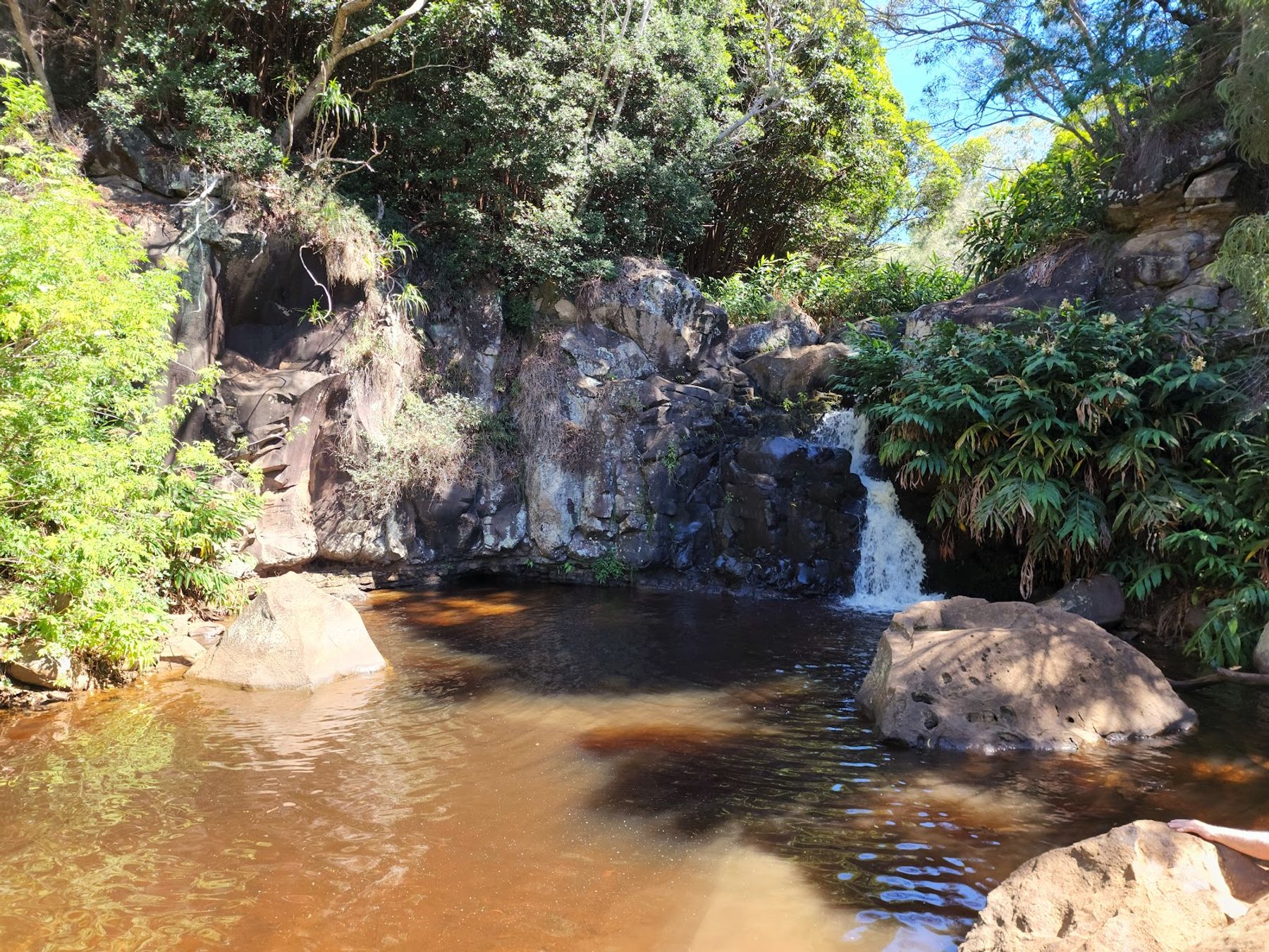 Waimea Canyon Trail in Waimea, Kaua‘i photo 2