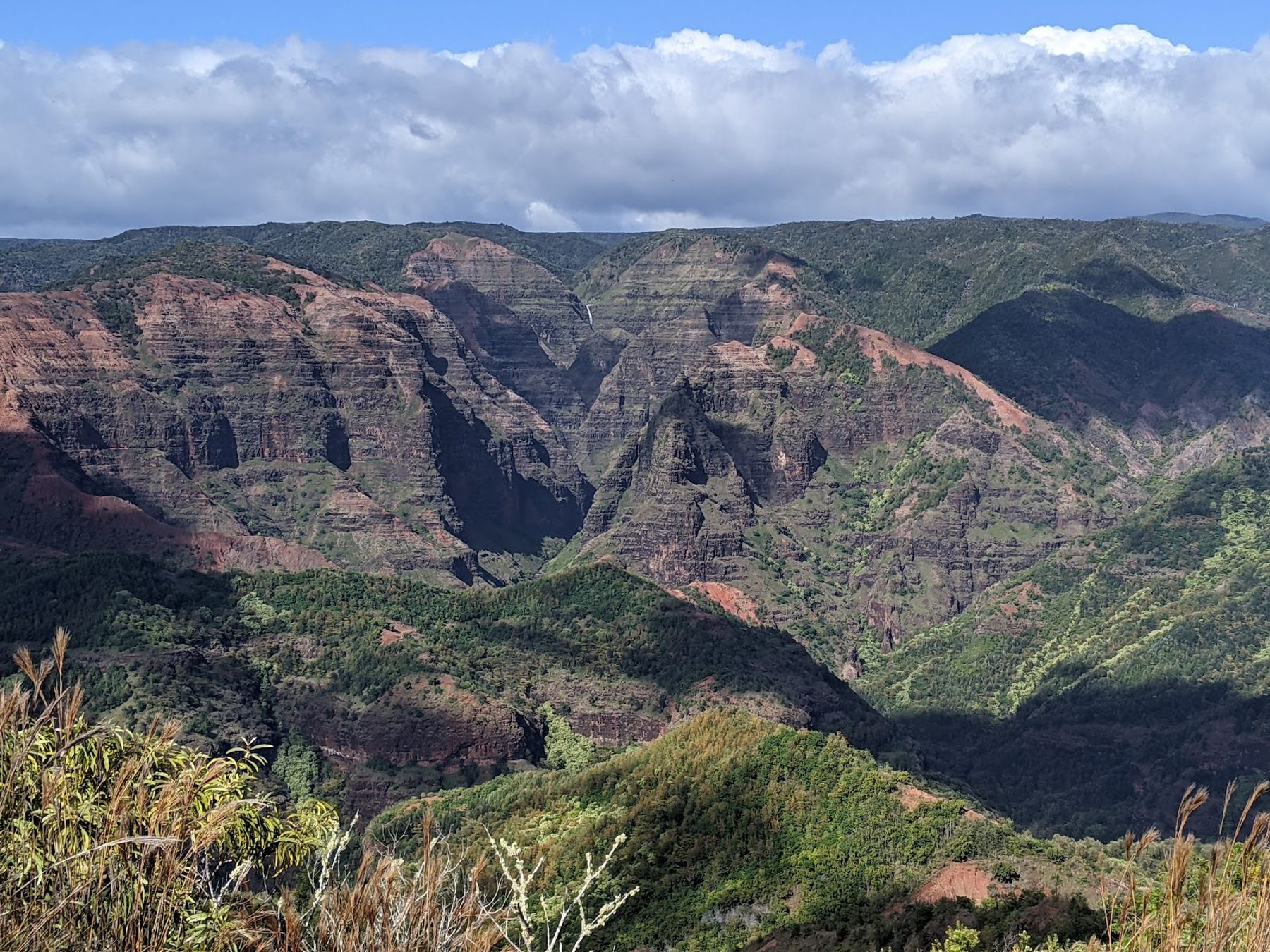 Iliau Trail in Waimea, Kaua‘i photo 2
