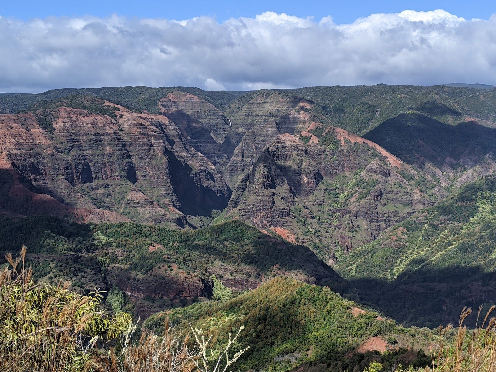 Iliau Trail in Waimea, Kaua‘i photo 2