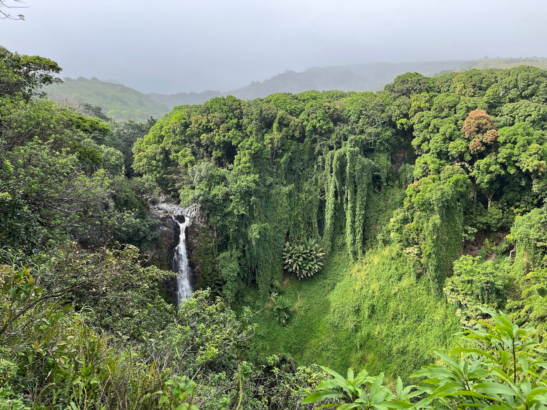 Photo 6 of Waimoku Falls in Kīpahulu & Kaupō, Maui
