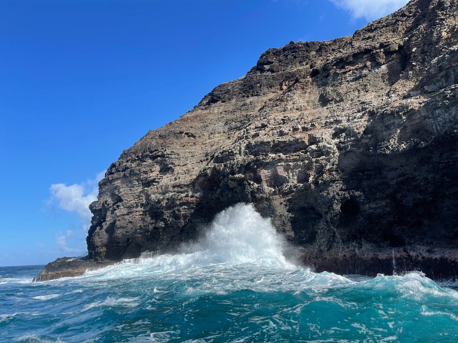 Captain J's Kauai Offshore Adventures in Eleele, Kaua‘i photo 4