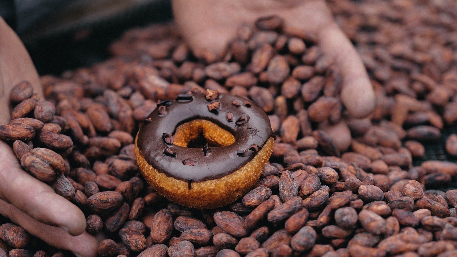 Photo 2 of Holey Grail Donuts in Hanalei, Kauai