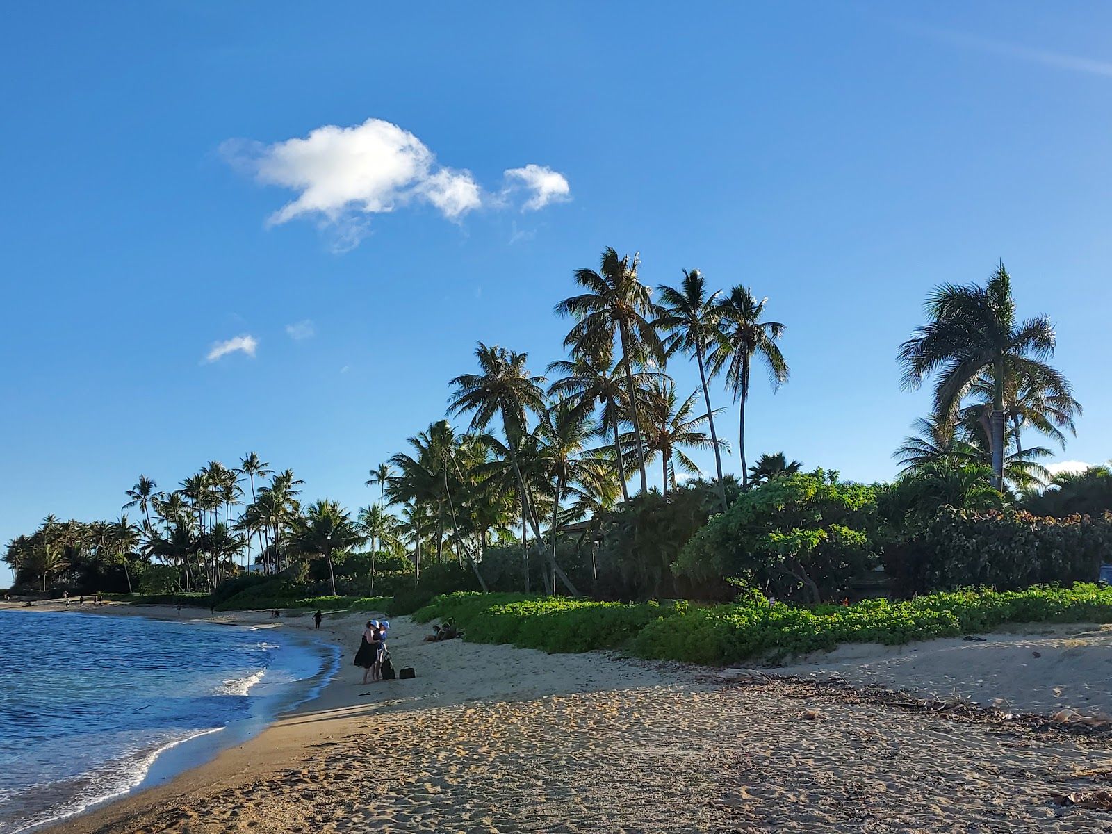 Photo 9 of Waiʻalae Beach Park in Kahala & Waialae, Oahu