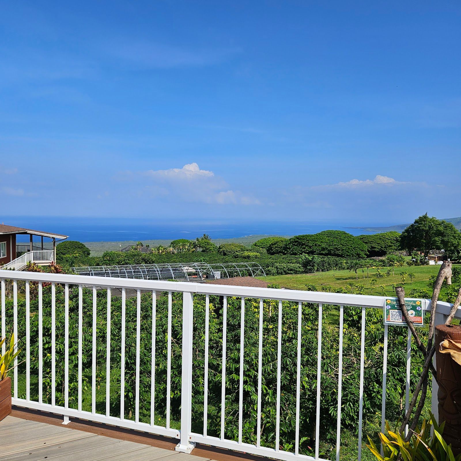 Photo 8 of Wasabi Tours Hawaii in Kailua-Kona, Big Island
