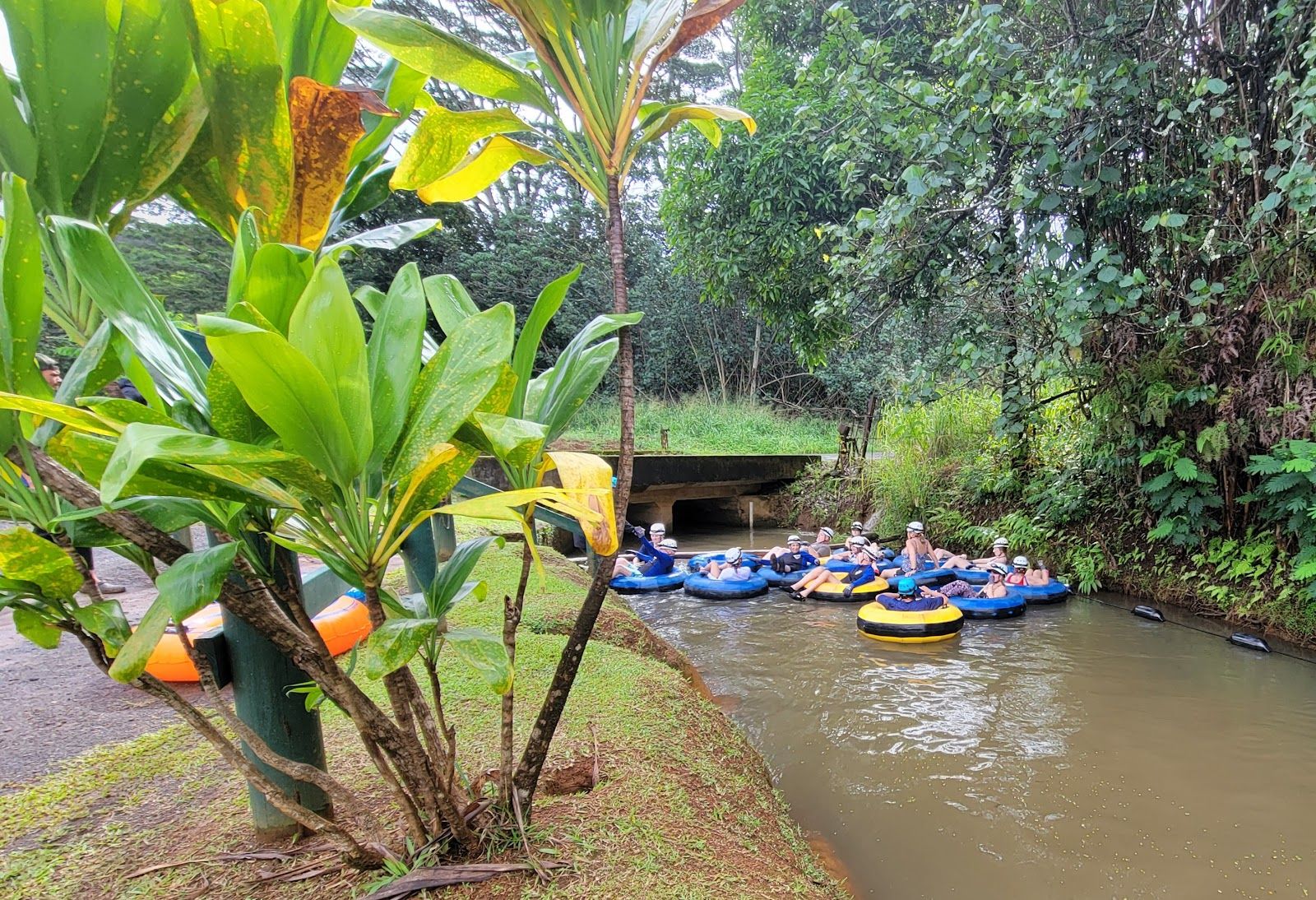 Mountain Tubing in Lihue, Kaua‘i photo 3