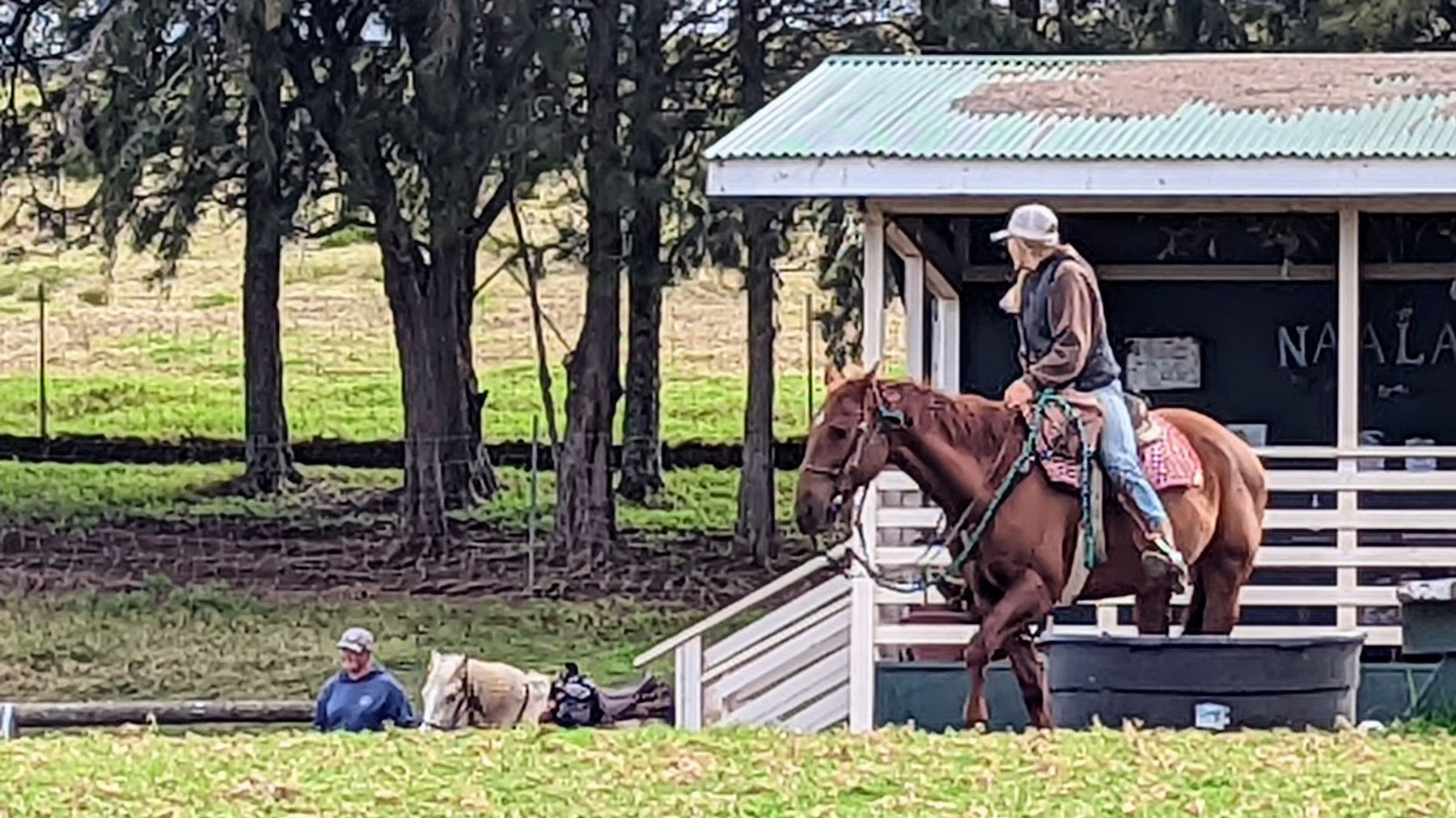 Photo 6 of Kahua Ranch Ltd in Waimea, Big Island