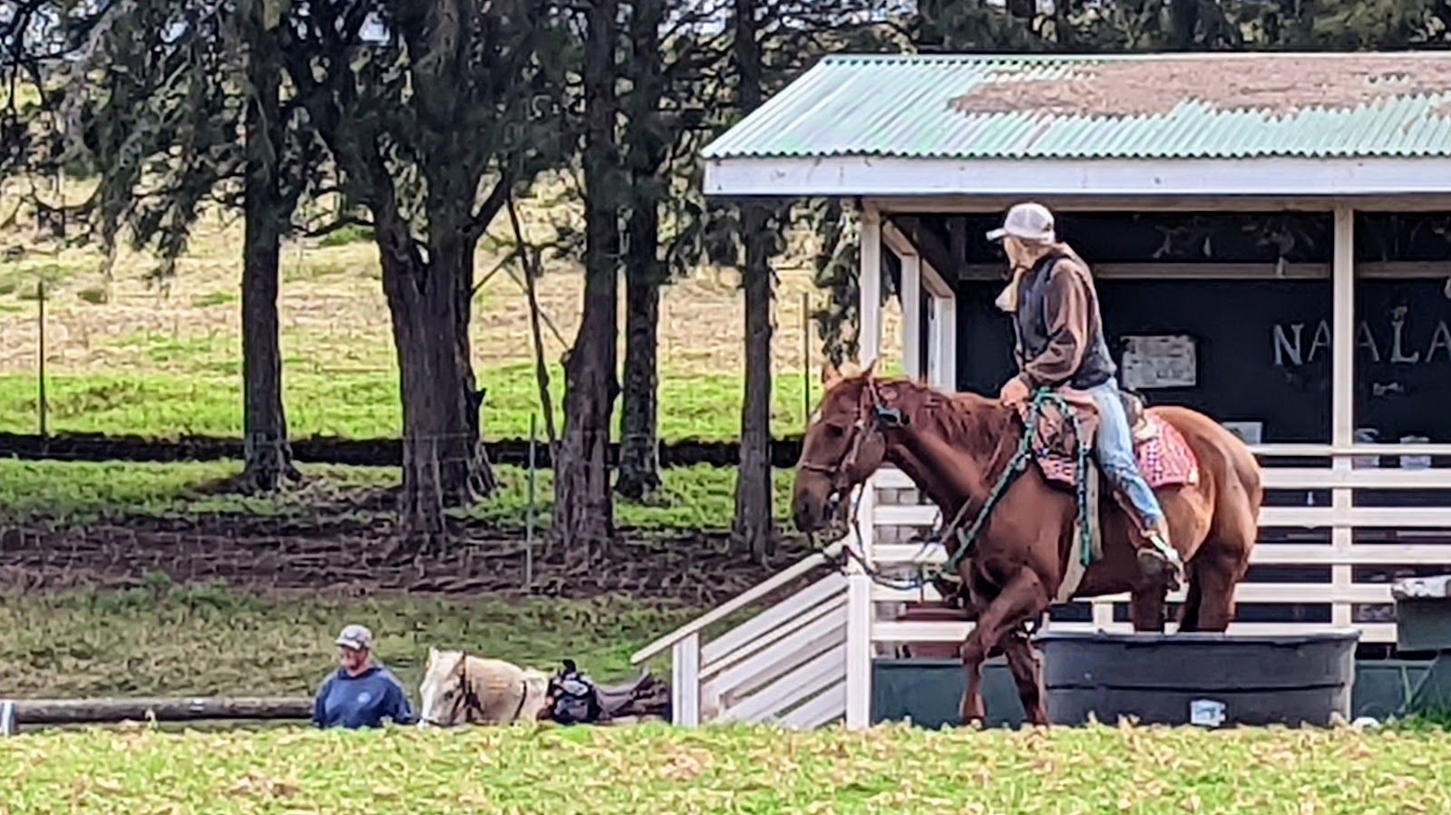 Photo 6 of Kahua Ranch Ltd in Waimea, Big Island