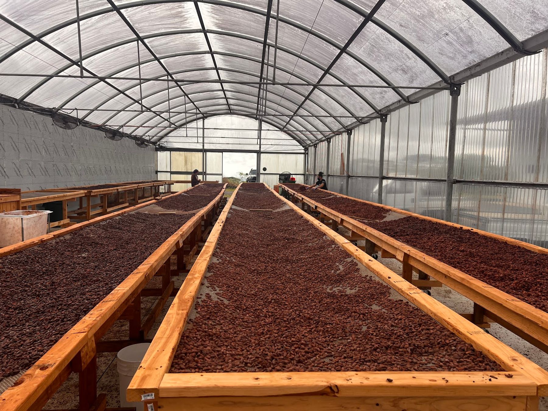Photo 3 of Lavaloha Chocolate - Farm Tours in Hilo, Big Island