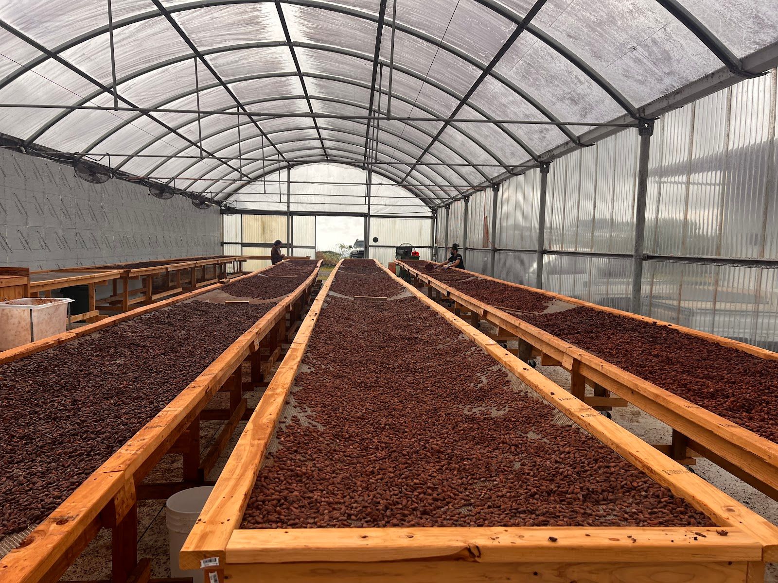 Photo 3 of Lavaloha Chocolate - Farm Tours in Hilo, Big Island