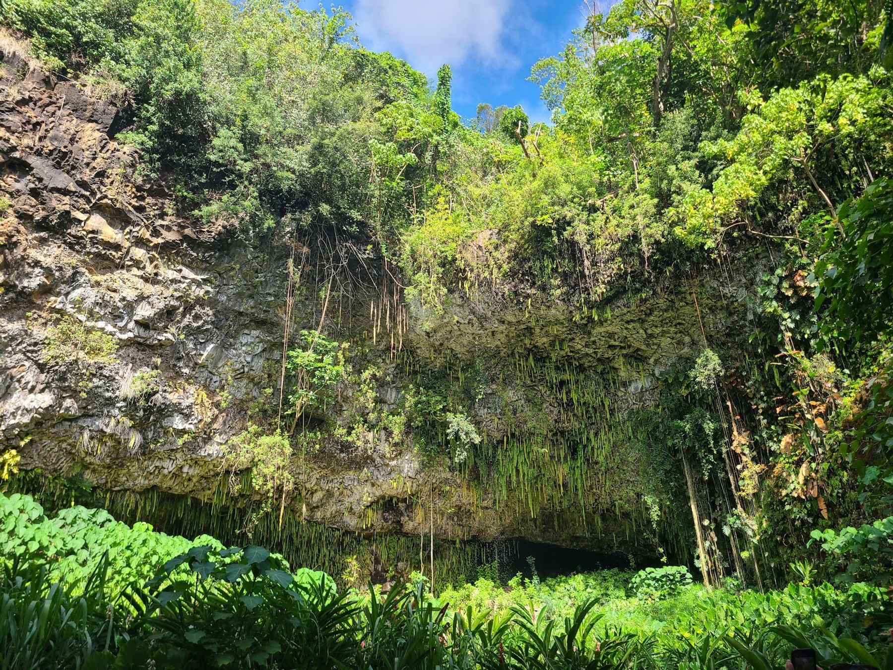 Smith's Fern Grotto Tour in Kapaʻa, Kaua‘i photo 6