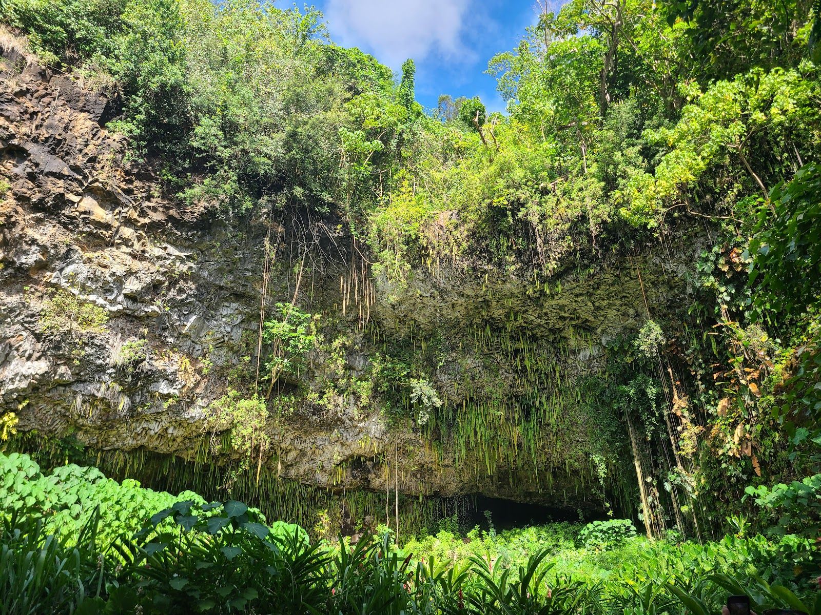 Smith's Fern Grotto Tour in Kapaʻa, Kaua‘i photo 6