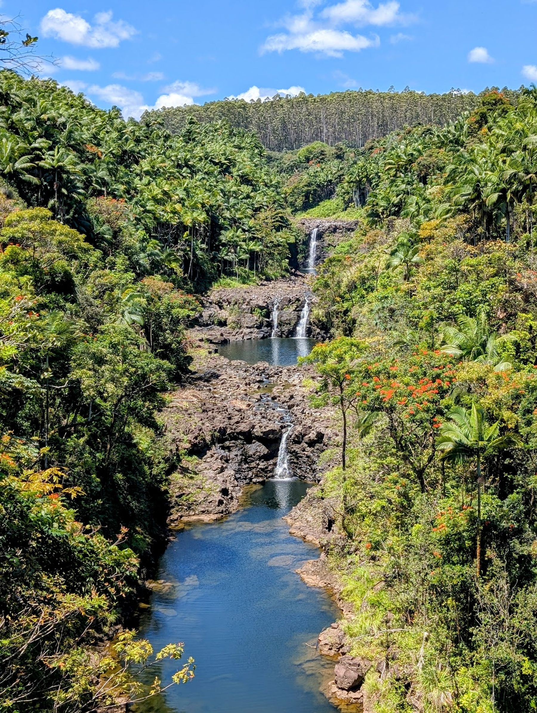 Photo 1 of Umauma Falls in Greater Hilo, Big Island