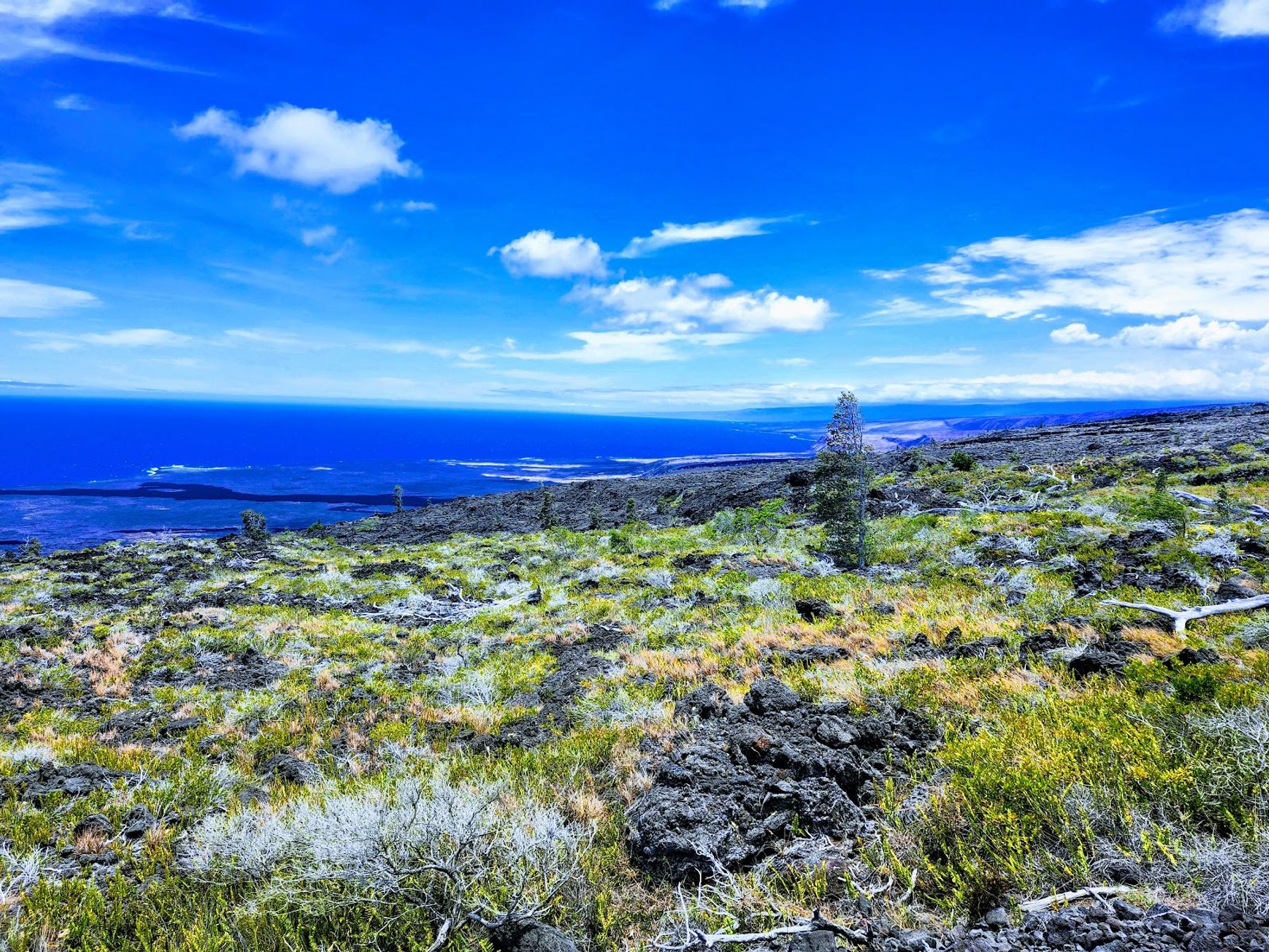 Photo 4 of Hawaiʻi Volcanoes National Park in Volcano, Big Island