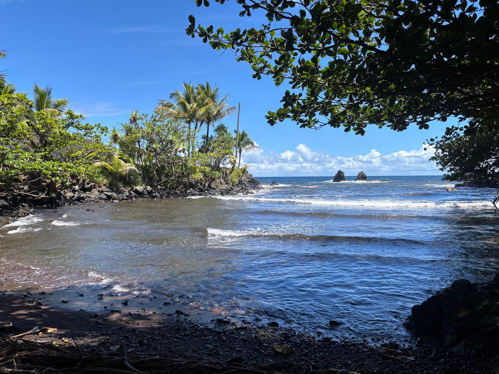 Photo 6 of Onomea Bay Trail in Greater Hilo, Big Island