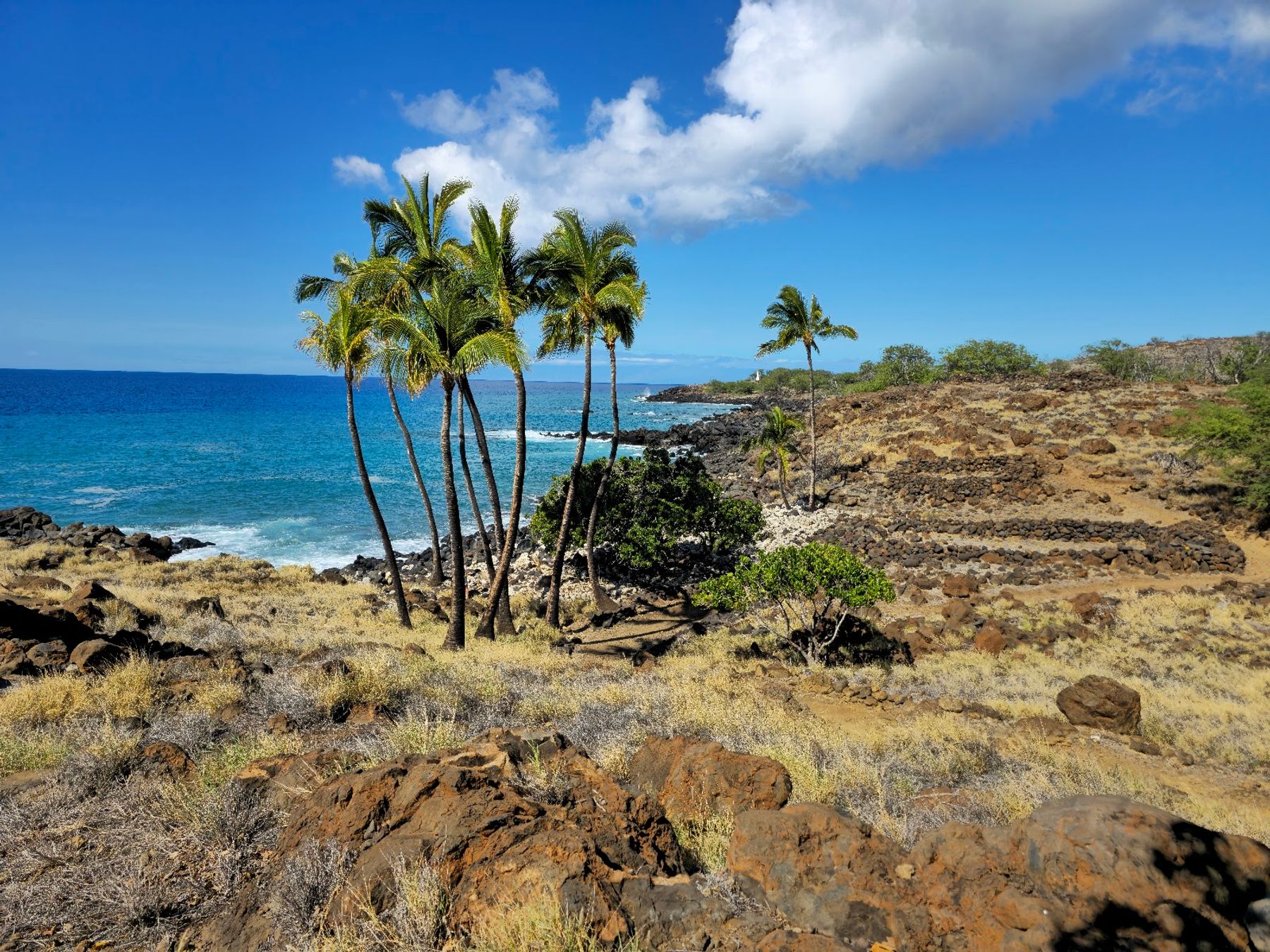 Photo 4 of Lapakahi State Historical Park in North Kohala, Big Island