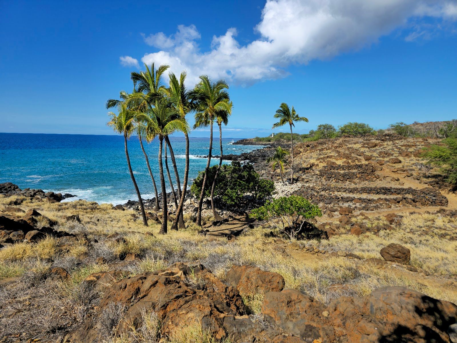Photo 4 of Lapakahi State Historical Park in North Kohala, Big Island