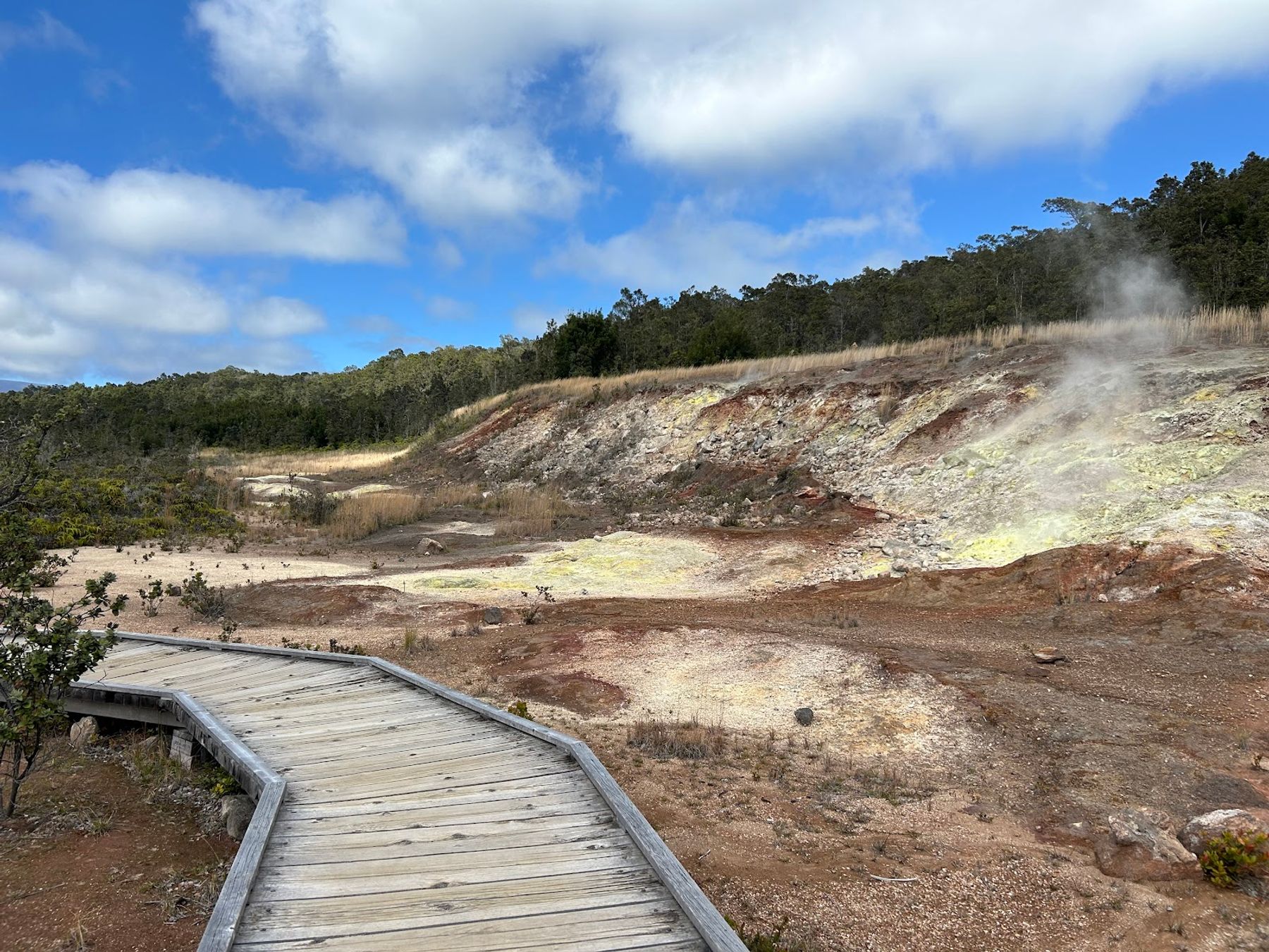 Photo 2 of Haʻakulamanu Sulphur Banks in Volcano, Big Island