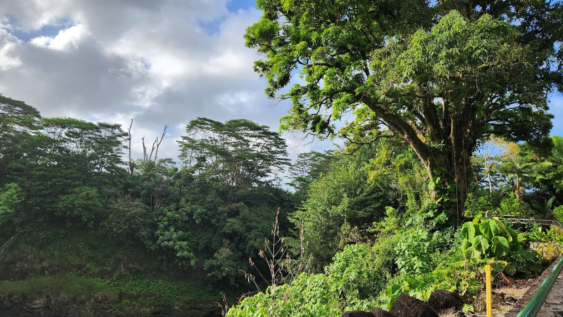 Photo 8 of Rainbow Falls in Hilo, Big Island