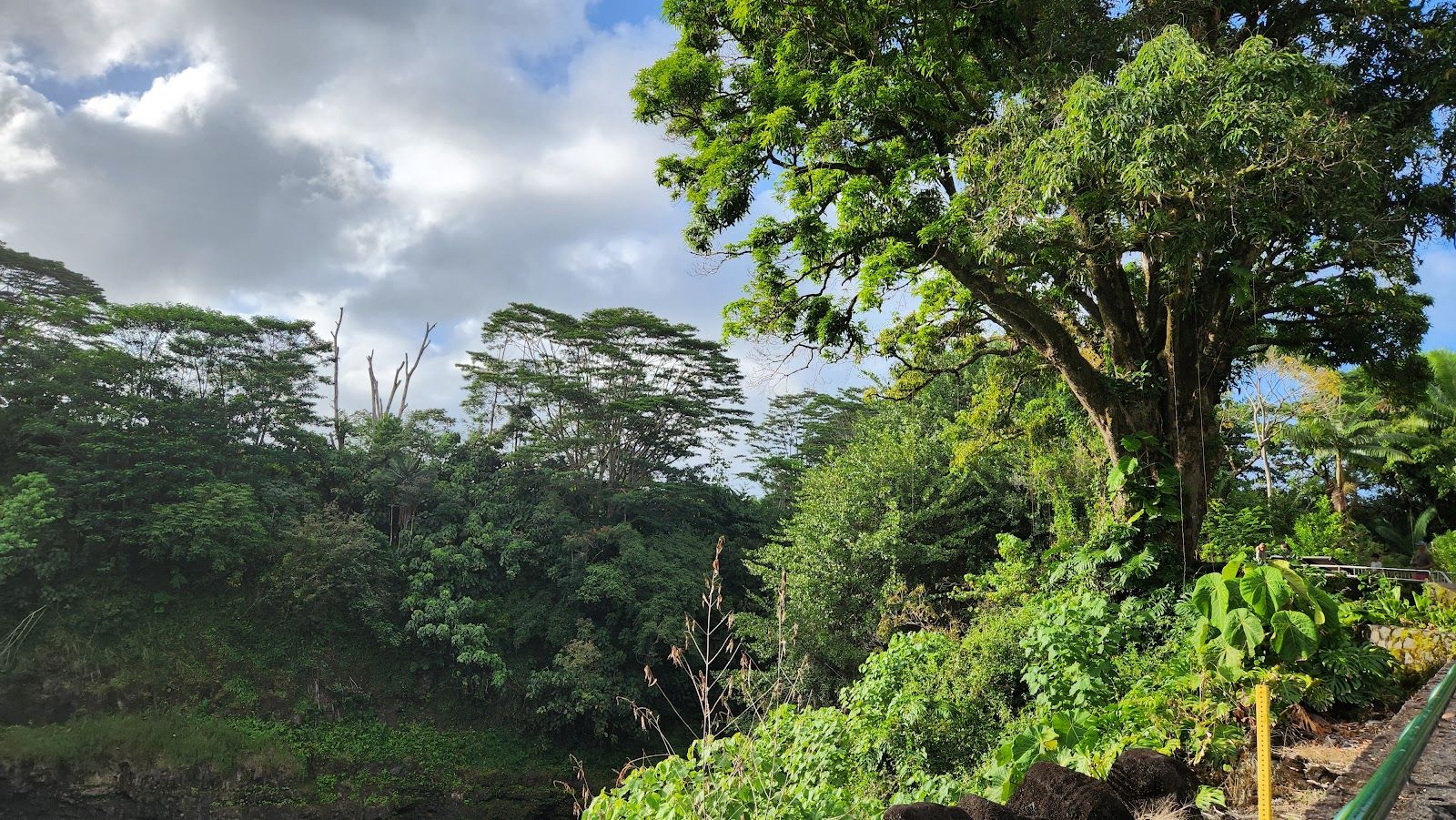 Photo 8 of Rainbow Falls in Hilo, Big Island