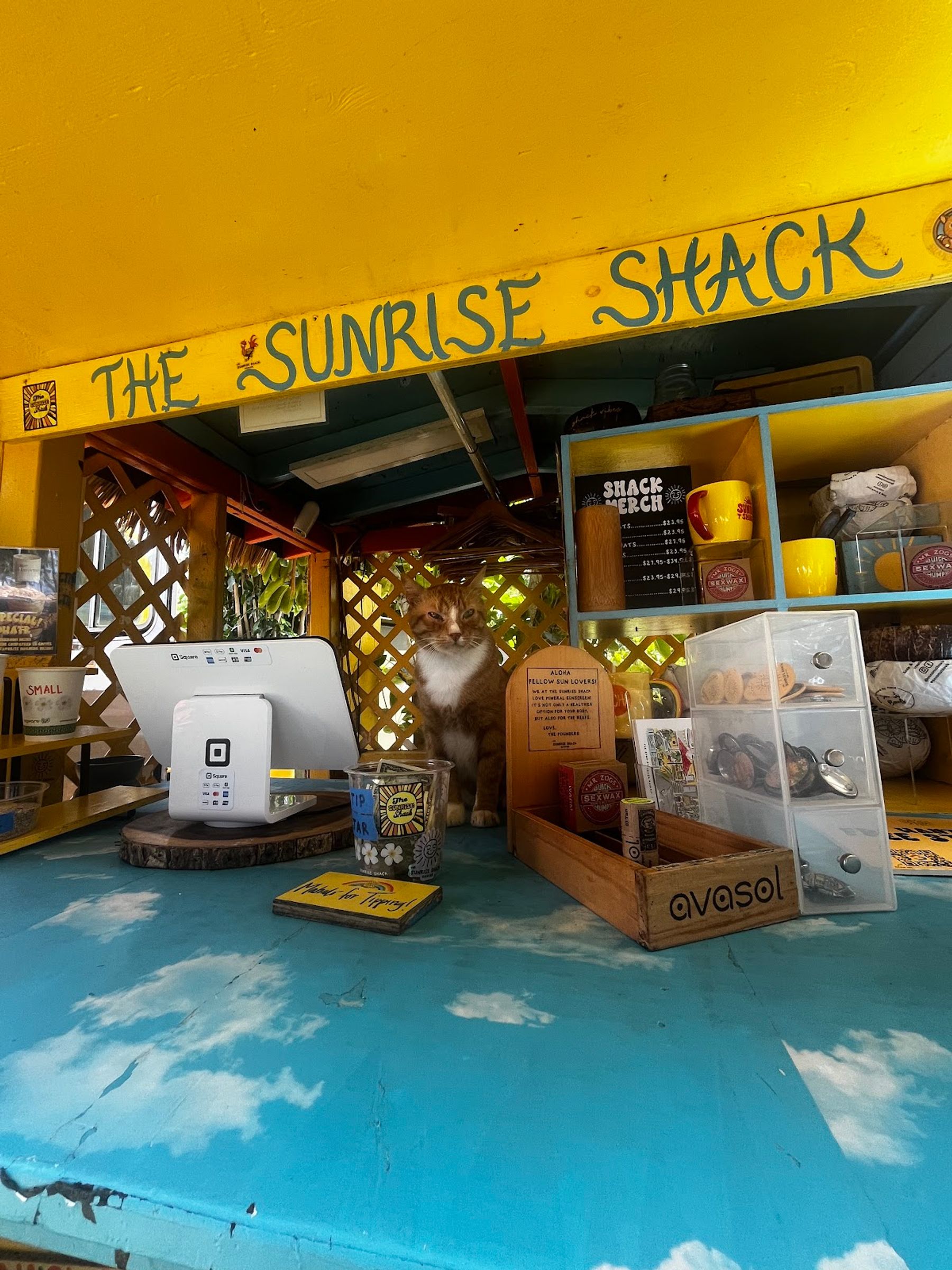 Photo 9 of The Sunrise Shack - Sharks Cove in Pūpūkea, Oahu