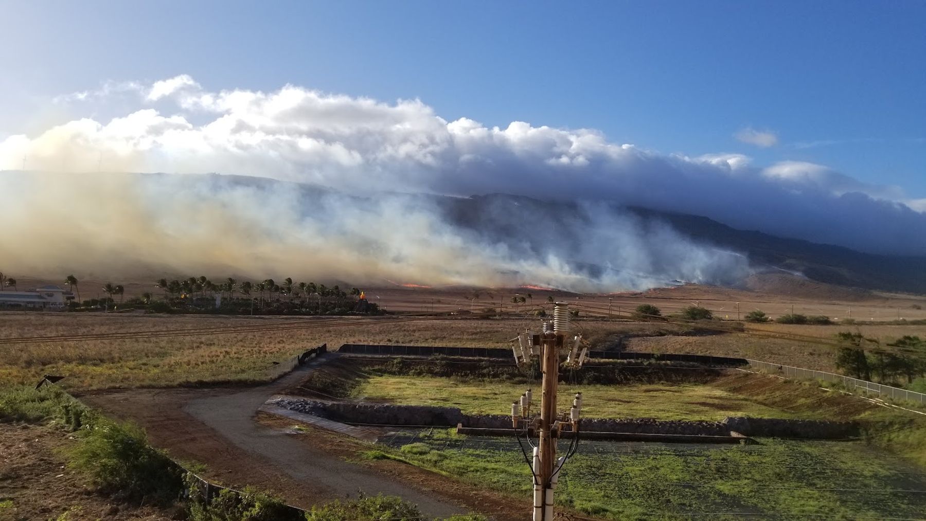 Photo 9 of Maui Island Sands Resort in Māʻalaea, Maui