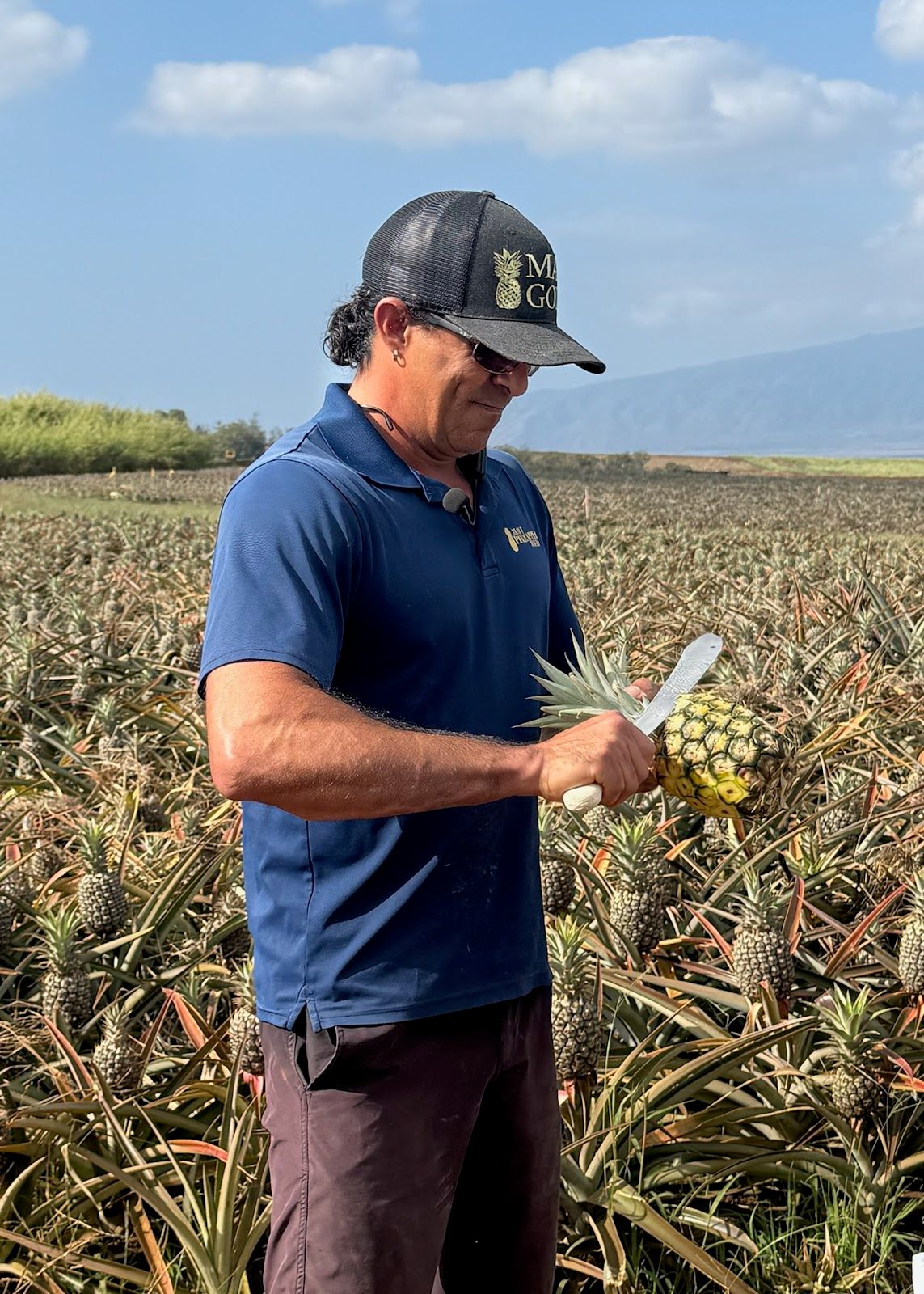 Photo 3 of Maui Pineapple Tour in Makawao & Pukalani, Maui