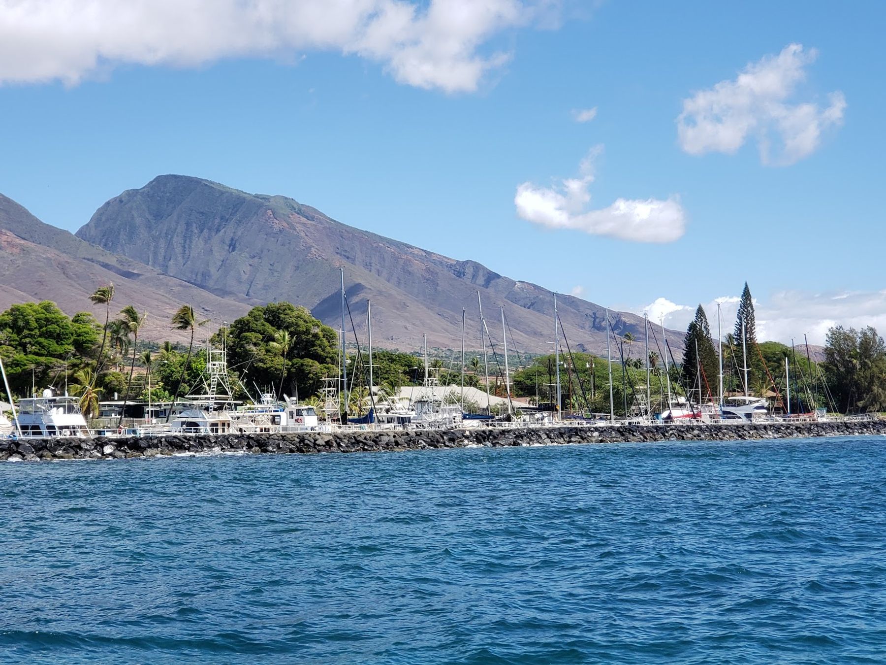 Photo 2 of Lahaina Cruise Company in Lāhainā, Maui