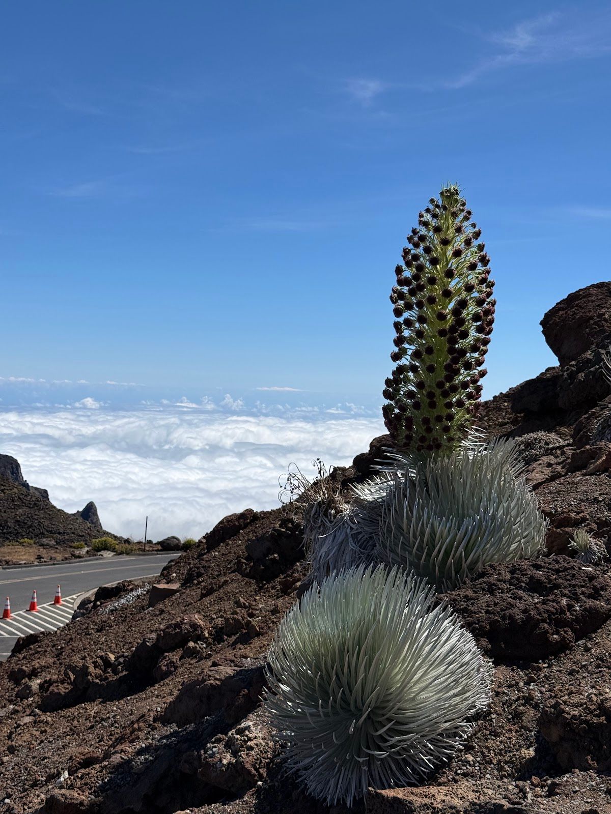 Photo 4 of Haleakalā Observatory in Kula, Maui