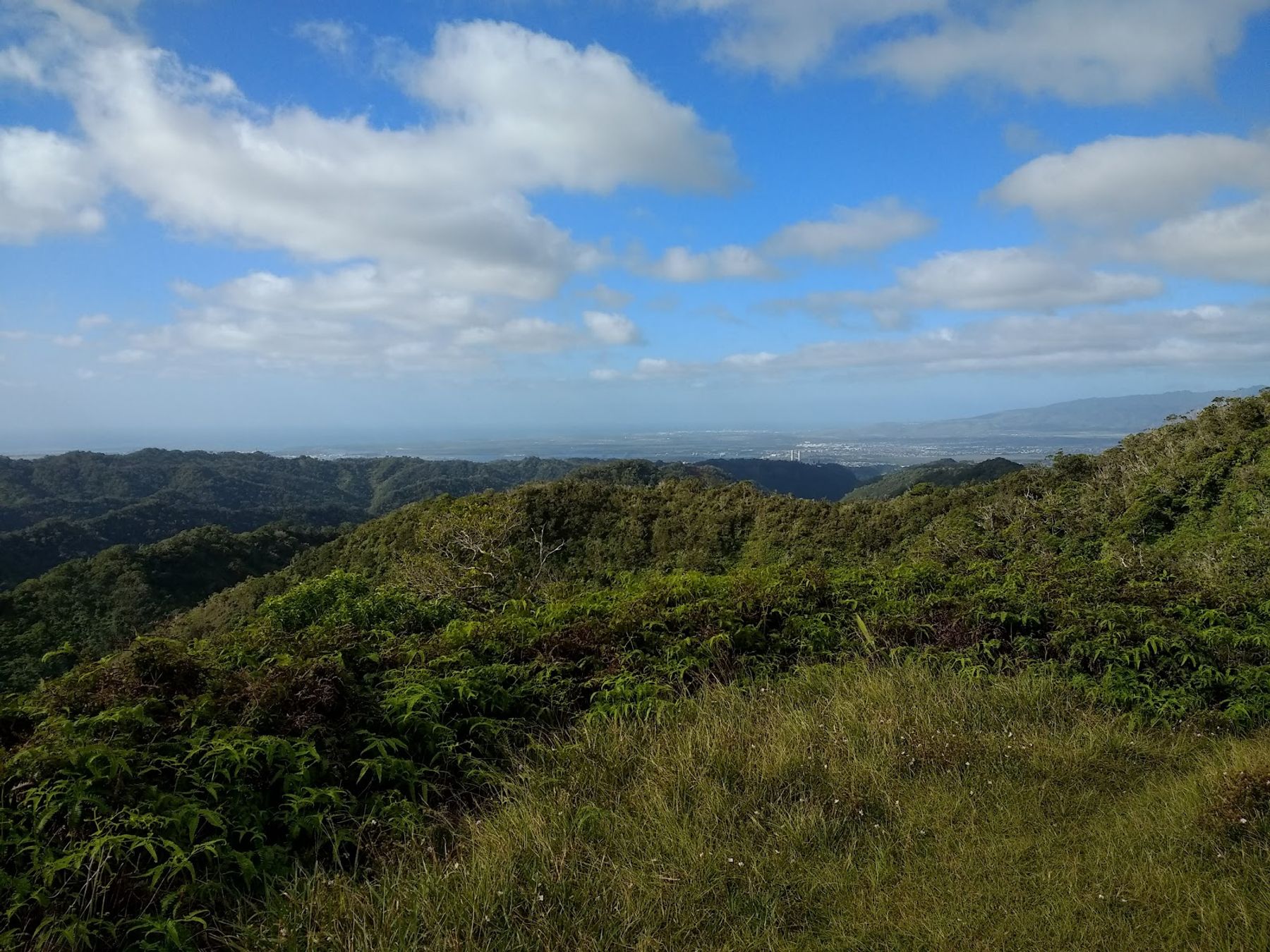 Photo 1 of Mānana Ridge Trail in Pearl City, Oahu