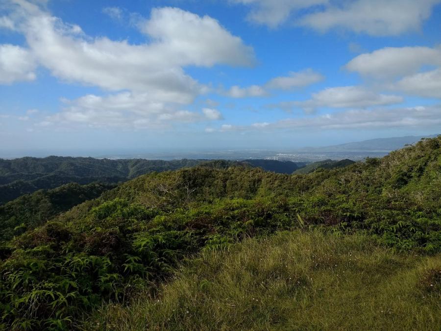Photo 1 of Mānana Ridge Trail in Pearl City, Oahu