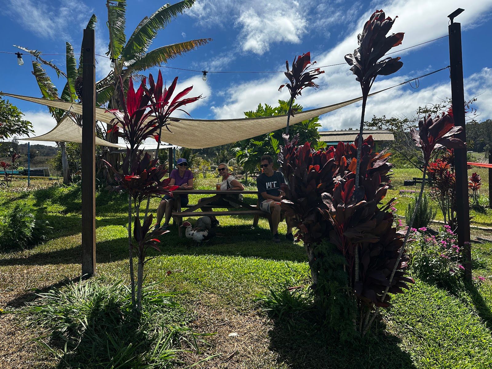 Photo 7 of Waipi'o Fruit Shack in Waipiʻo, Big Island