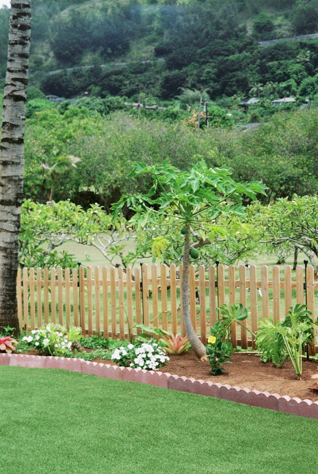 Photo 9 of Lucky’s in Pūpūkea, Oahu