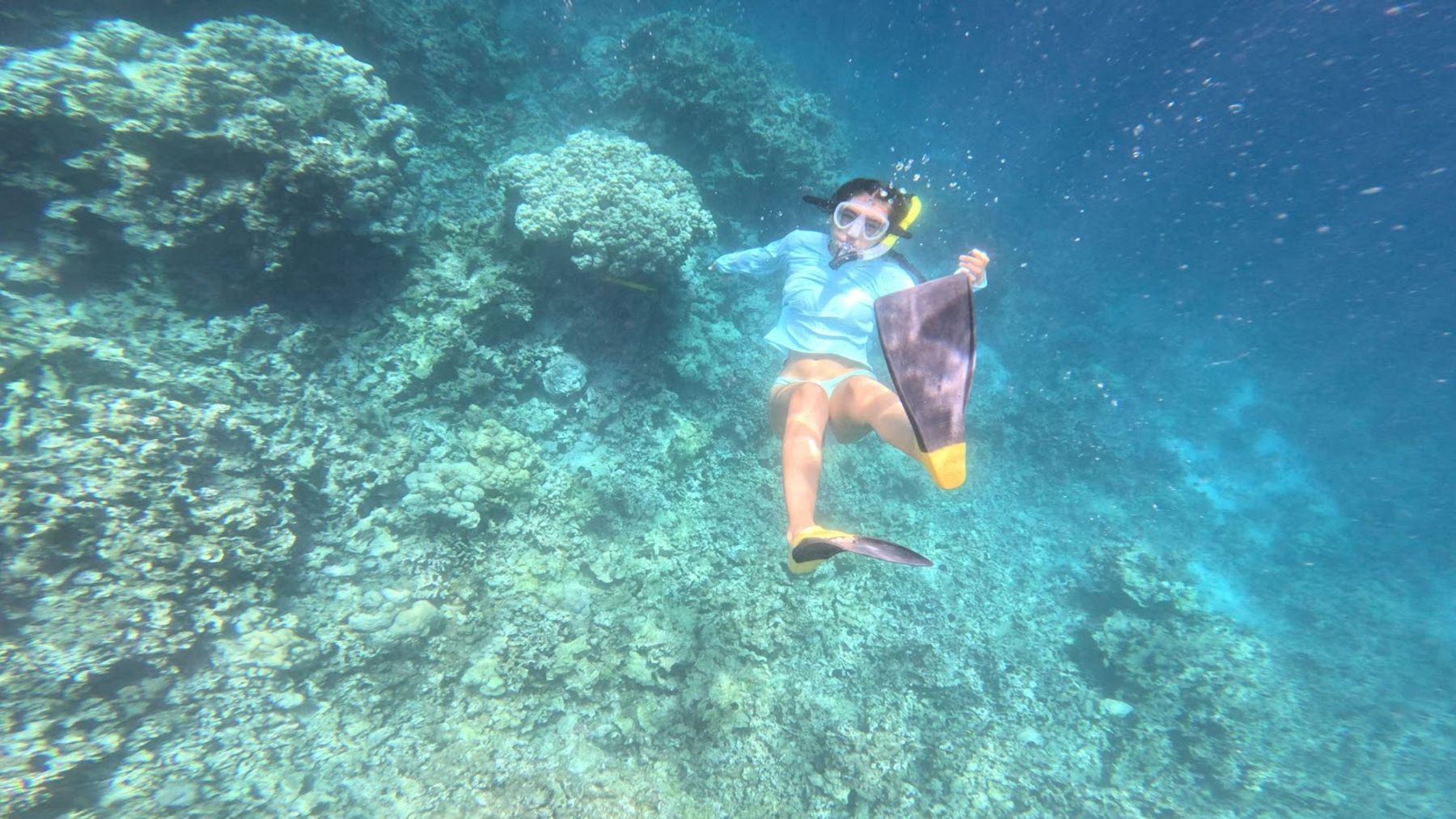 Photo 10 of Captain Zodiac in Kailua-Kona, Big Island