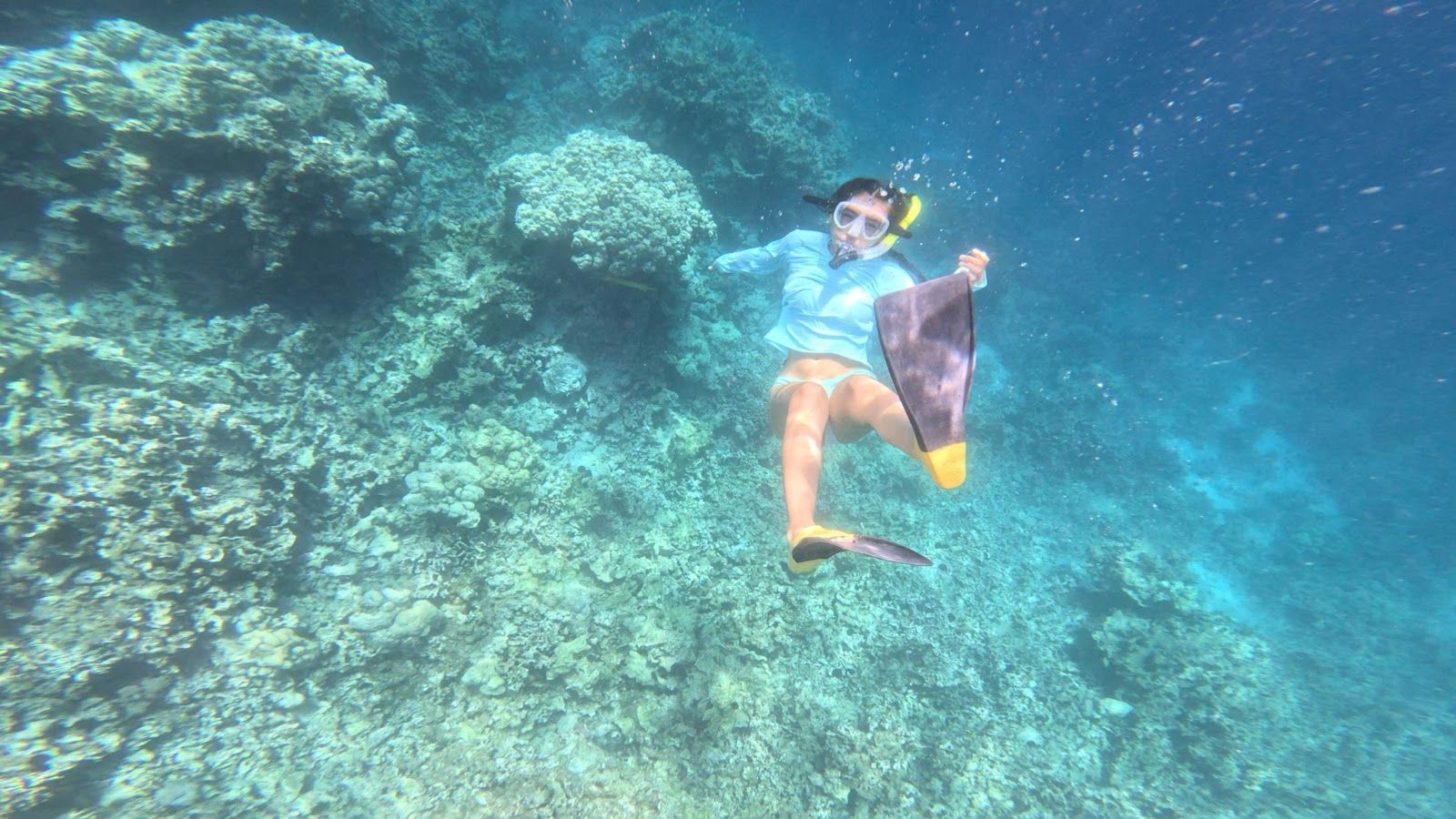 Photo 10 of Captain Zodiac in Kailua-Kona, Big Island