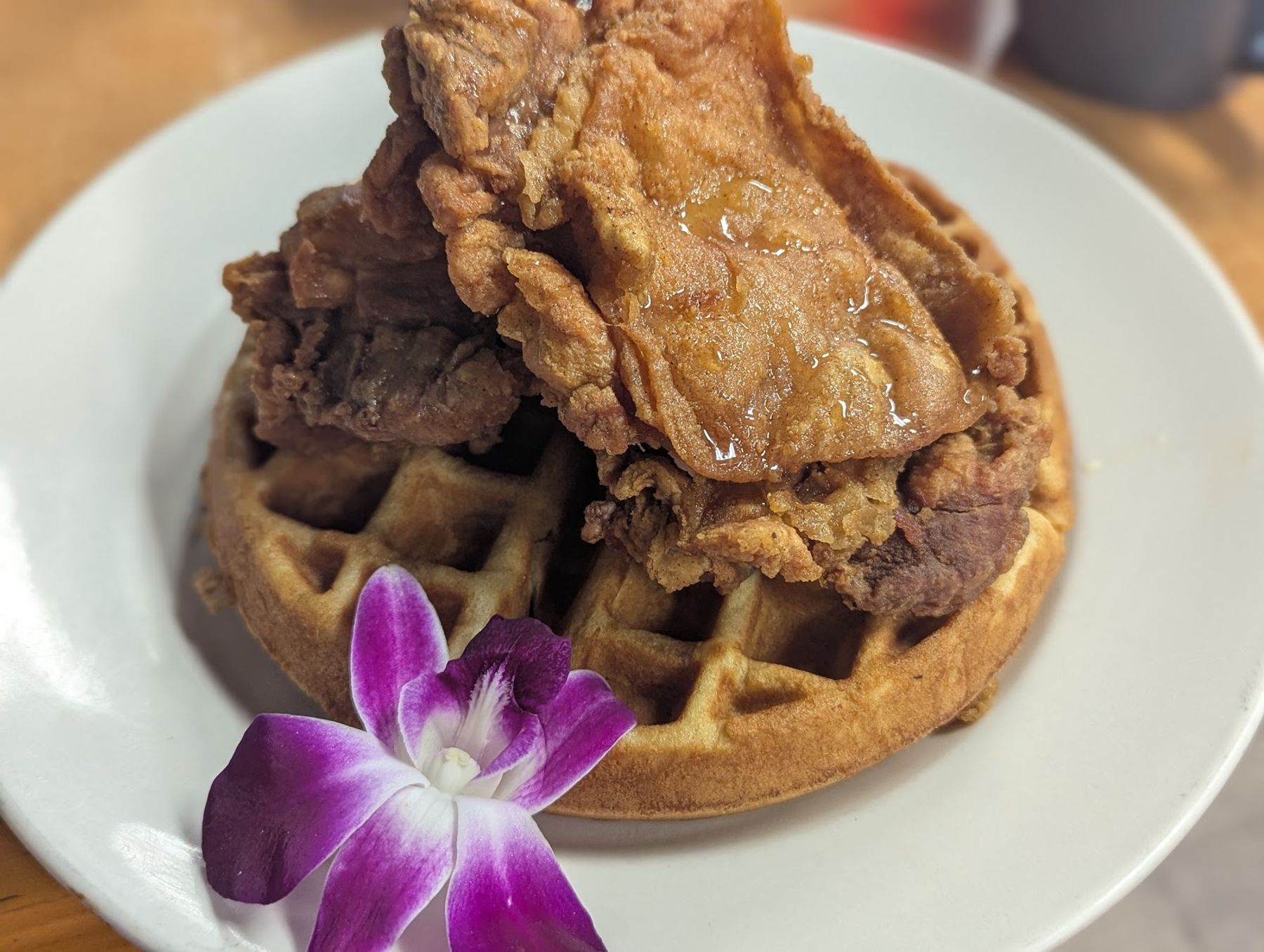 Photo 8 of Guieb Cafe in Wahiawā, Oahu