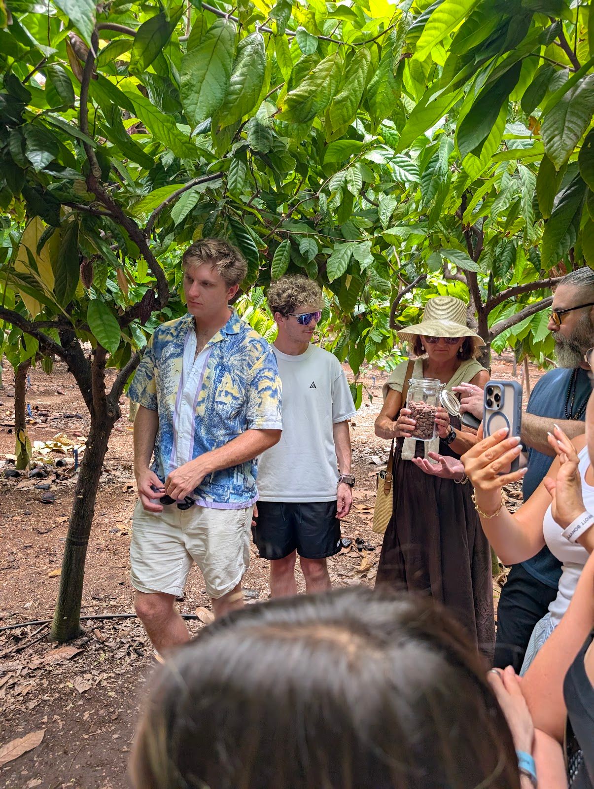 Photo 3 of Maui Chocolate Tour in Lāhainā, Maui