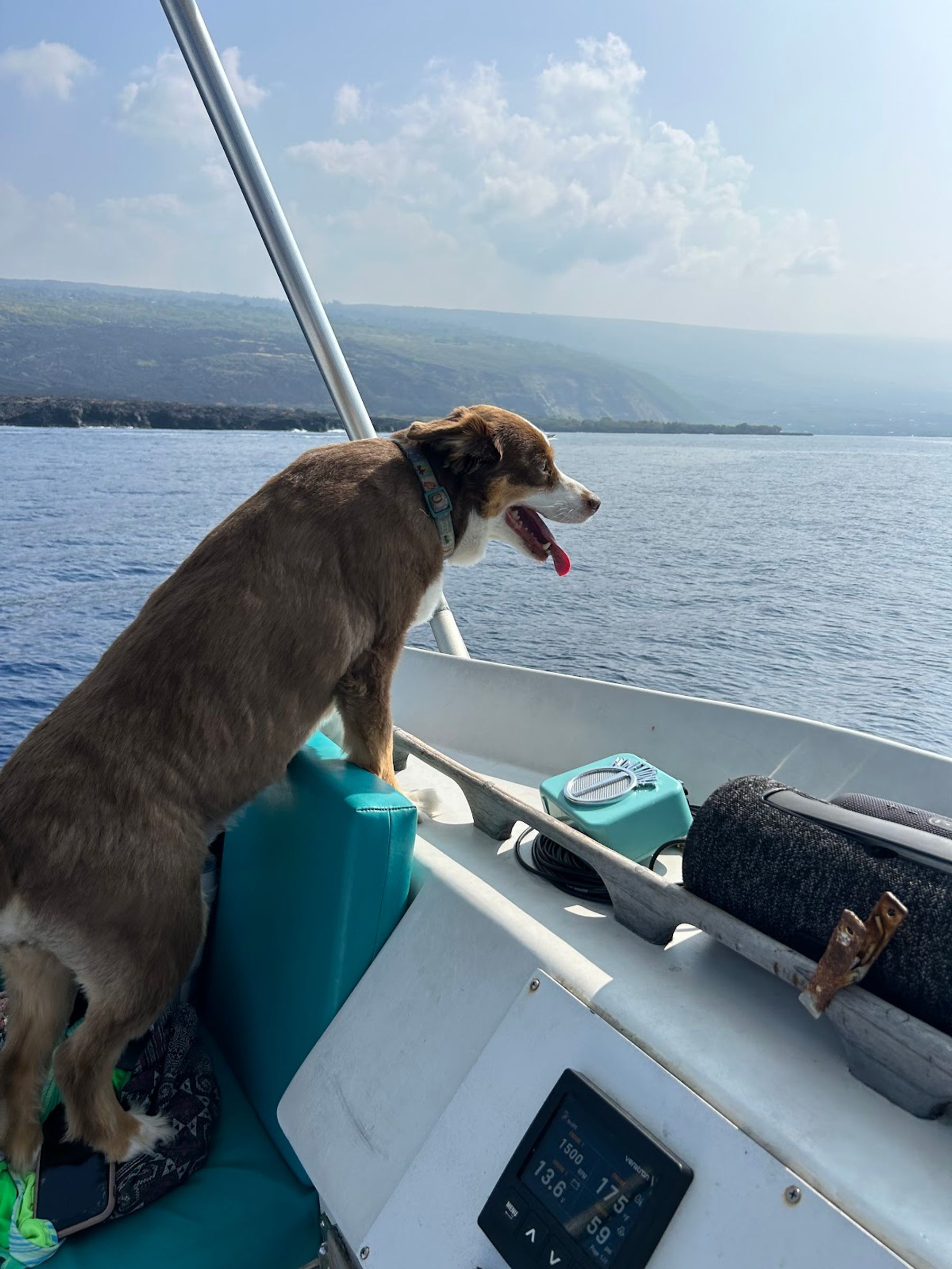 Photo 7 of Torpedo Tours in Kailua-Kona, Big Island
