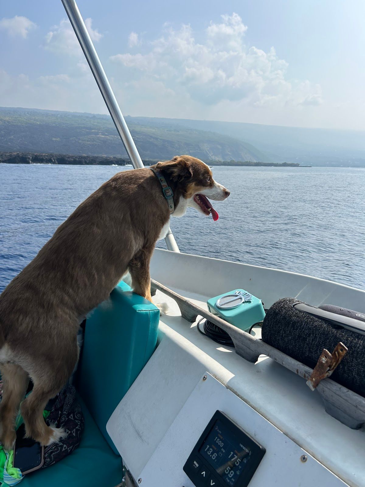 Photo 7 of Torpedo Tours in Kailua-Kona, Big Island